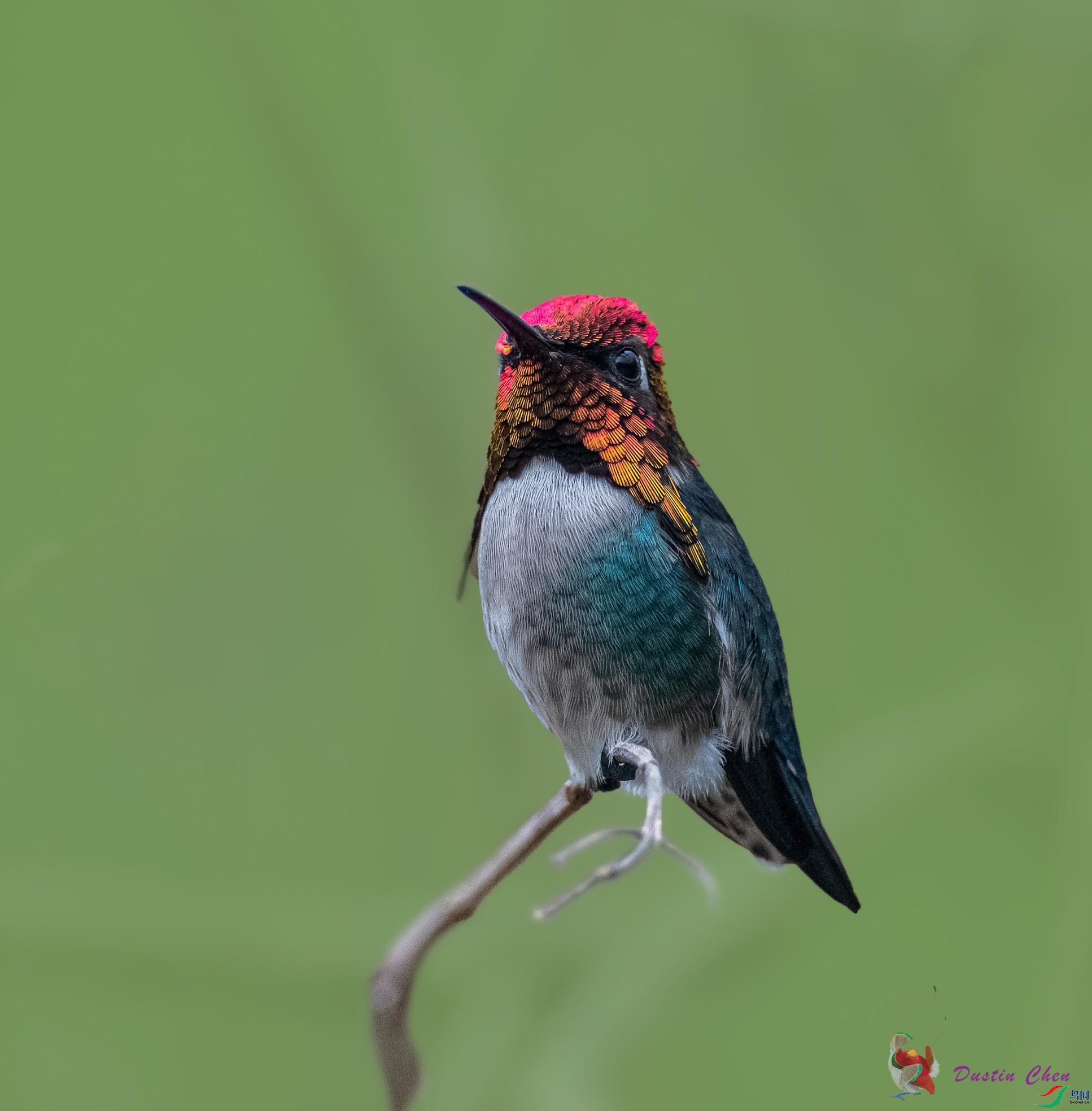 �Ű����۷���