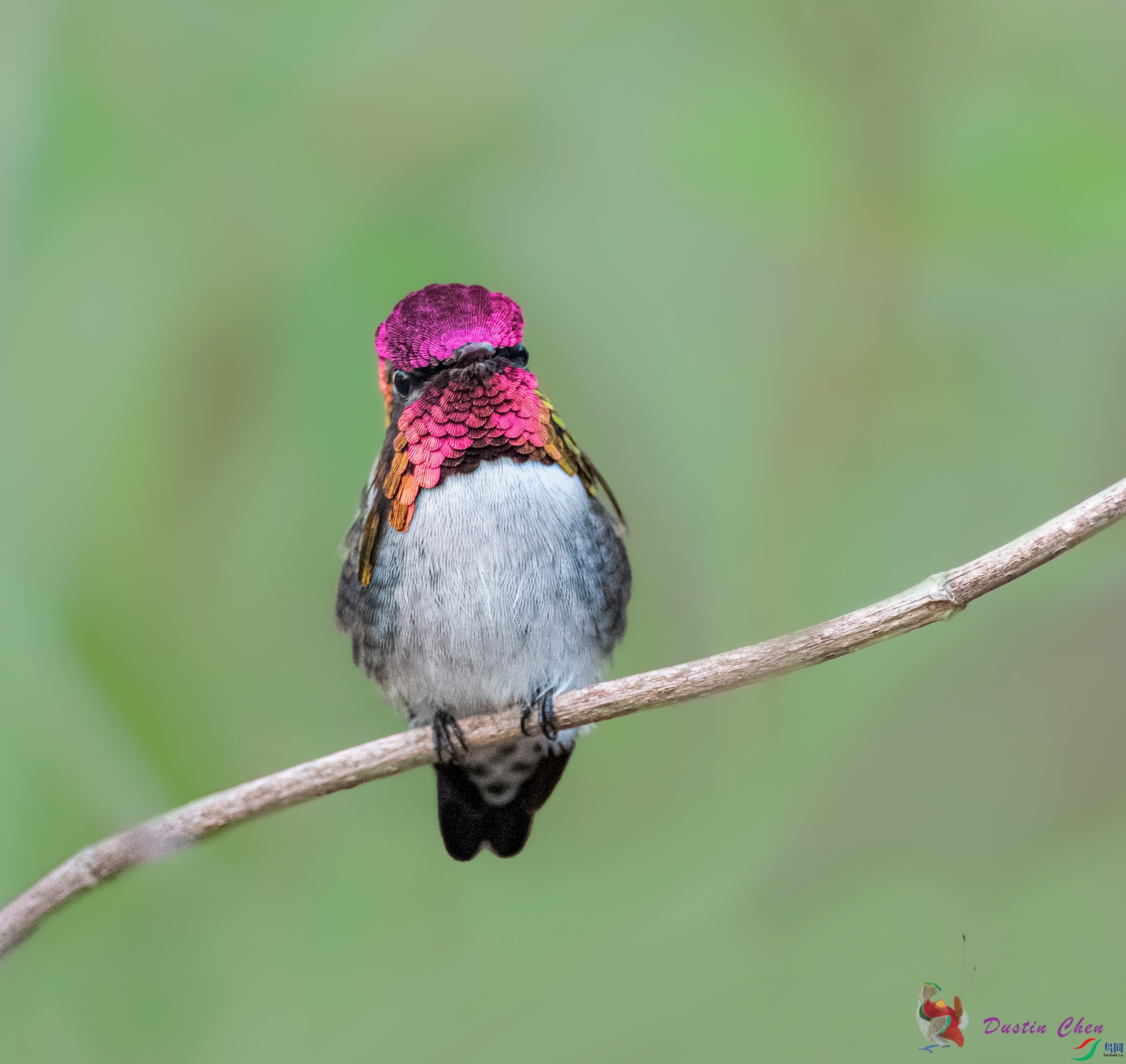 �Ű����۷���