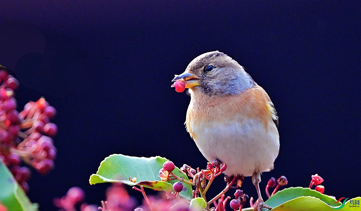 DSC_3259.JPG