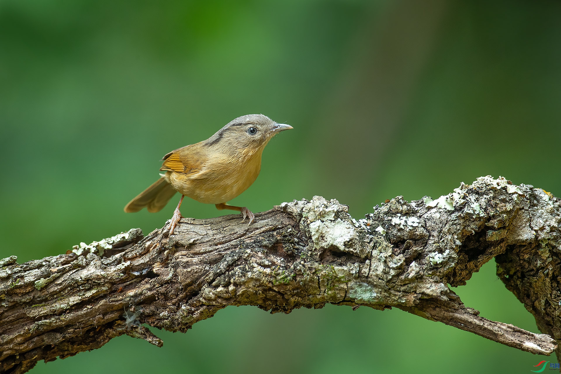 DSC_8747.jpg
