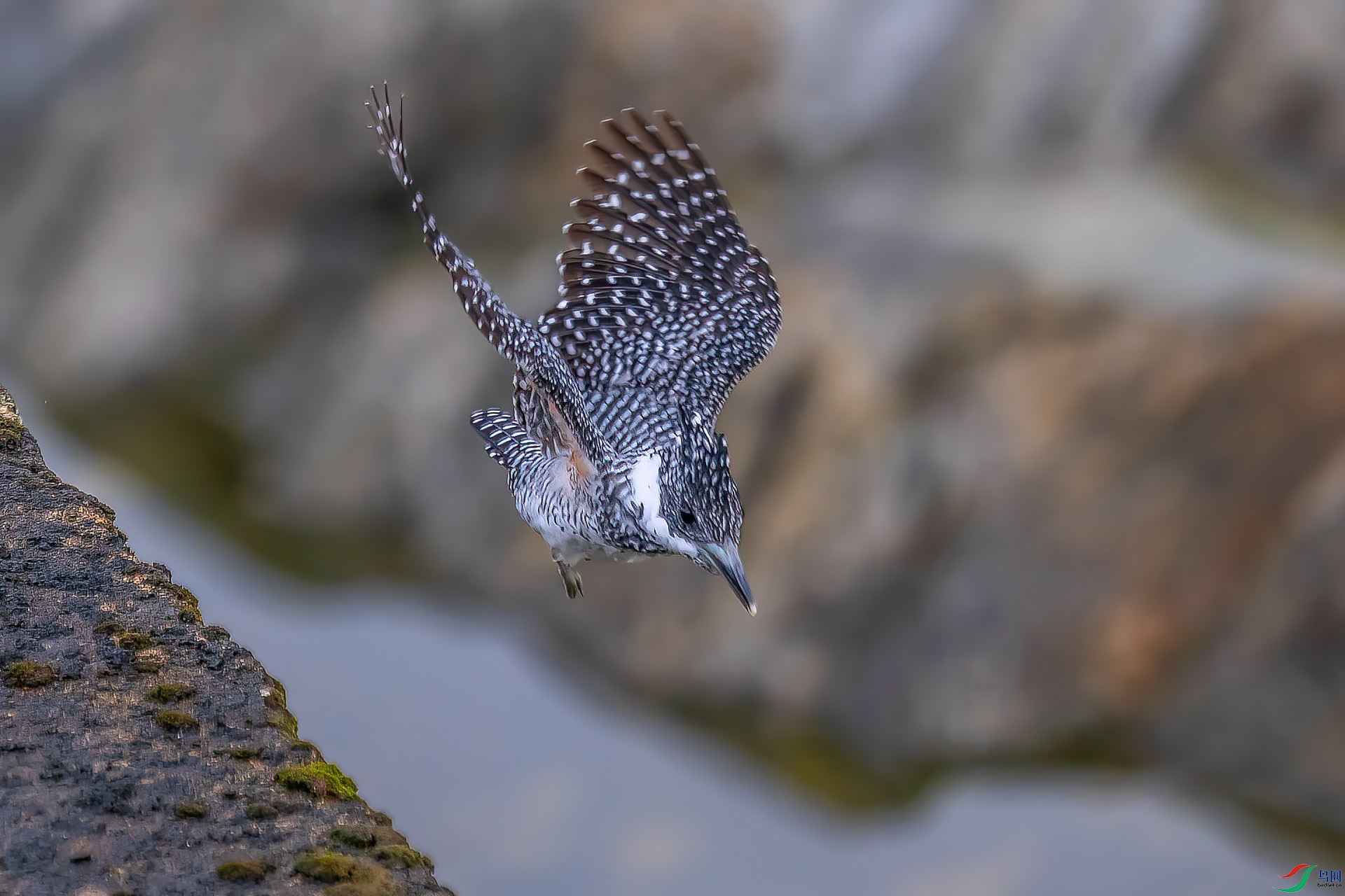 DSC_3705.jpg