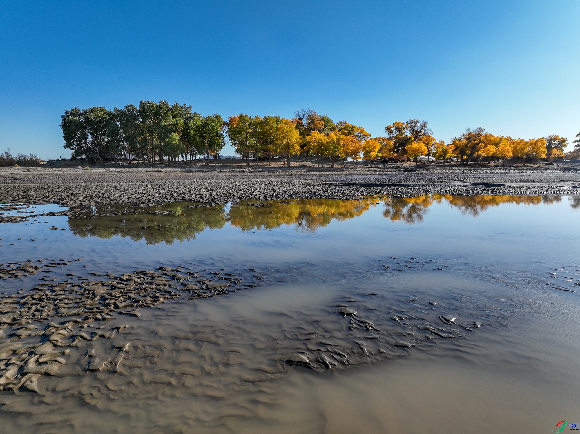 DJI_0431a111.jpg