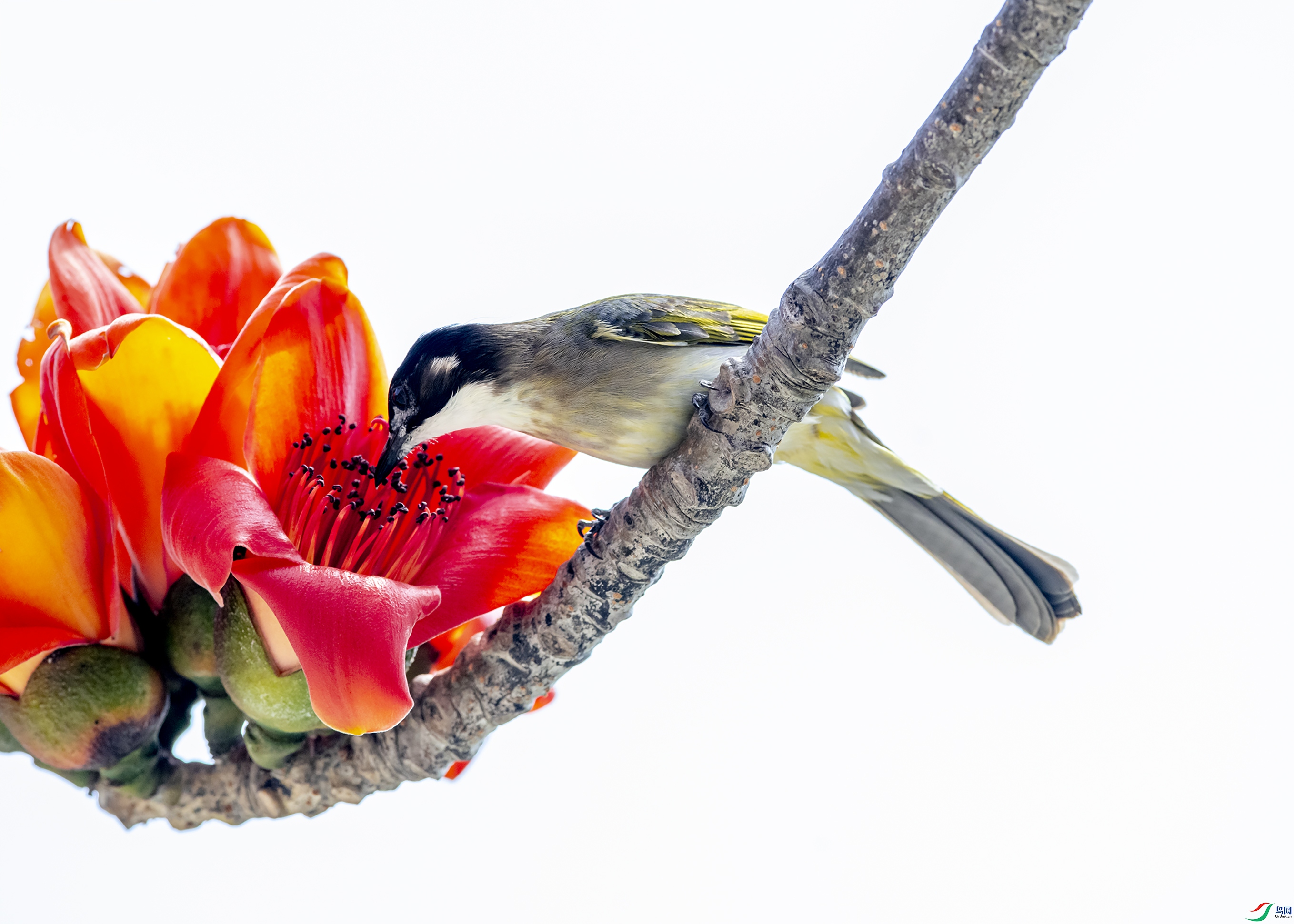 4341 ����.jpg