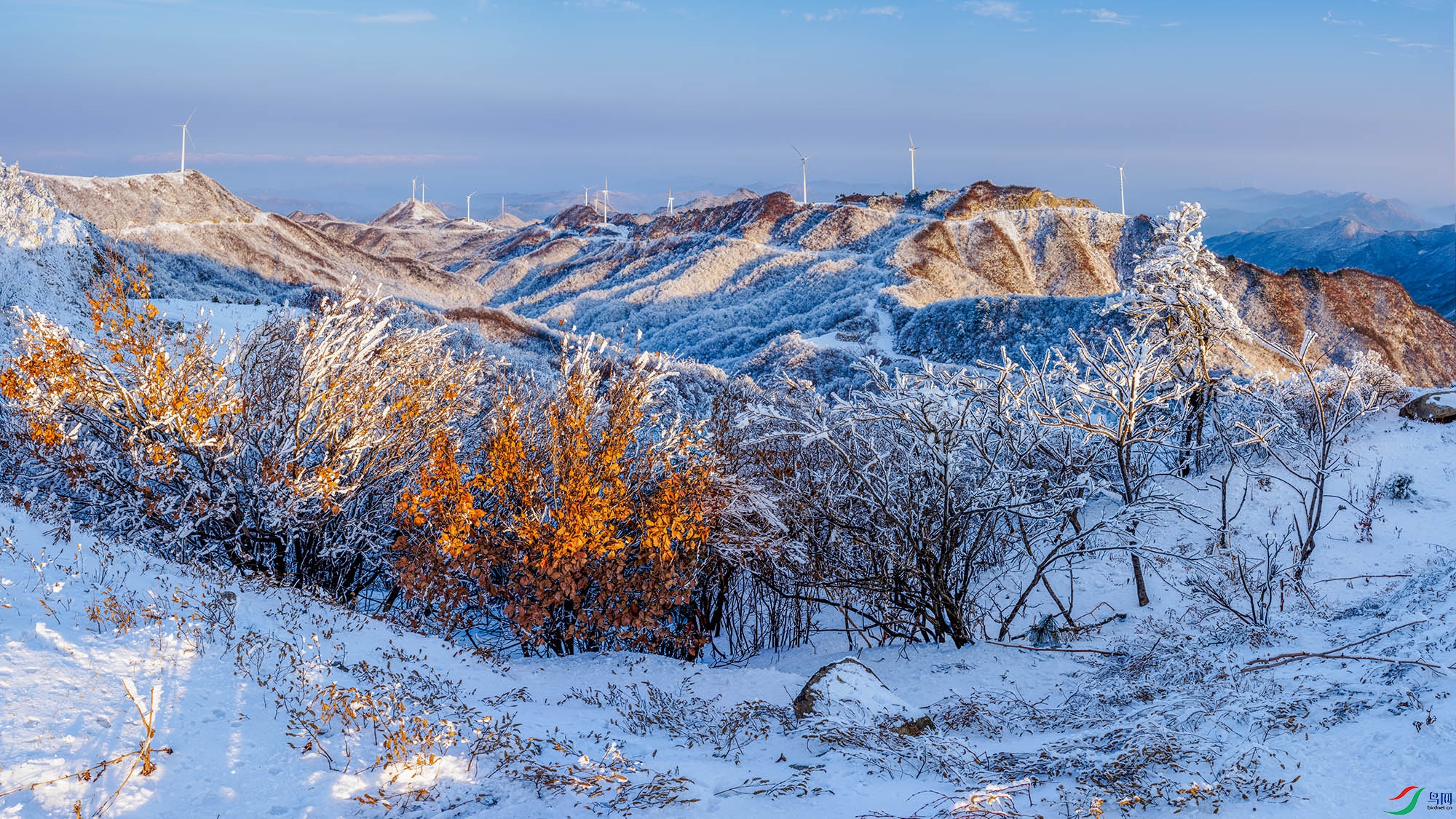 DSCF4135-Pano ����.jpg