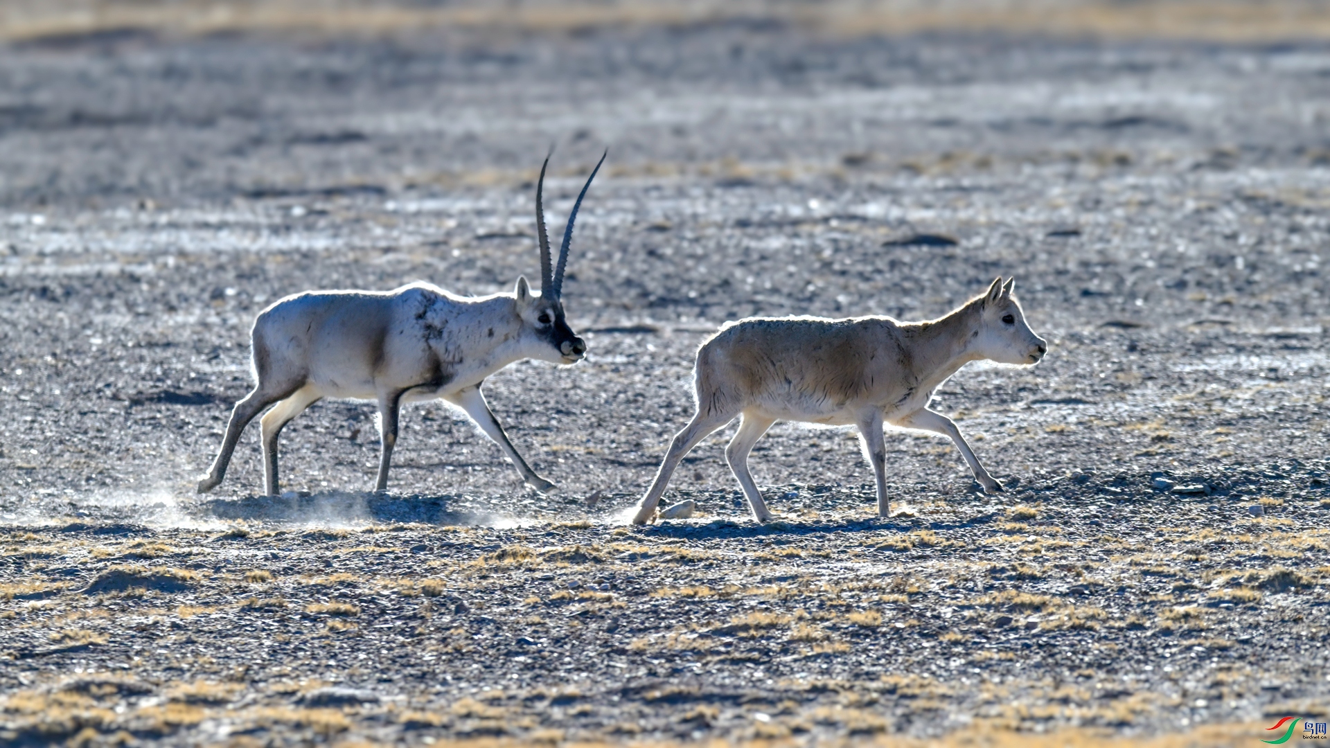 _DSC6137_����.jpg