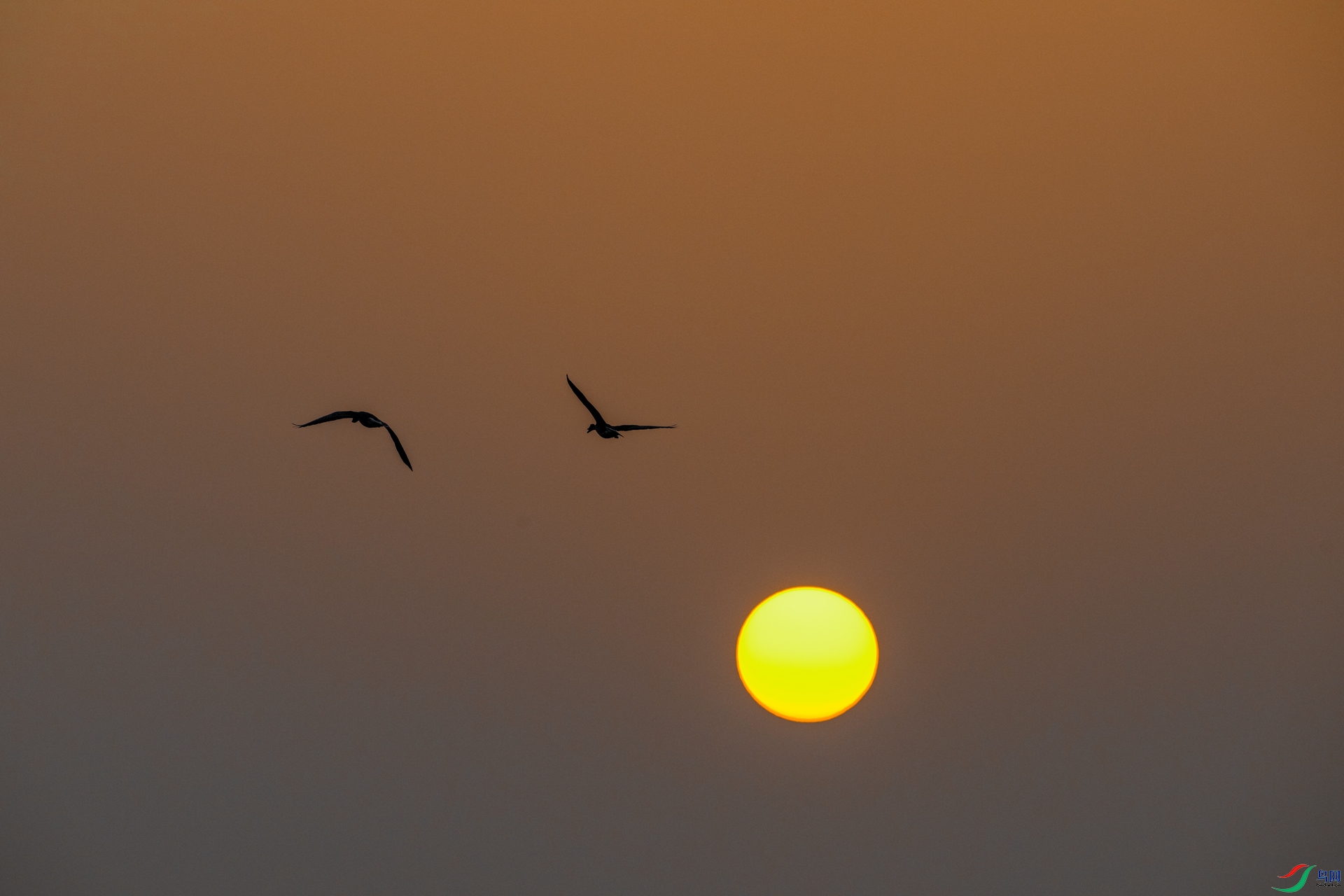 DSC_2035_1.jpg