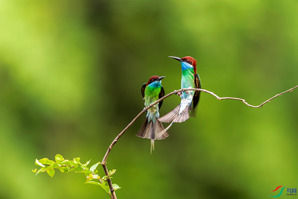 hbhaR230622 (326)_DxO.jpg