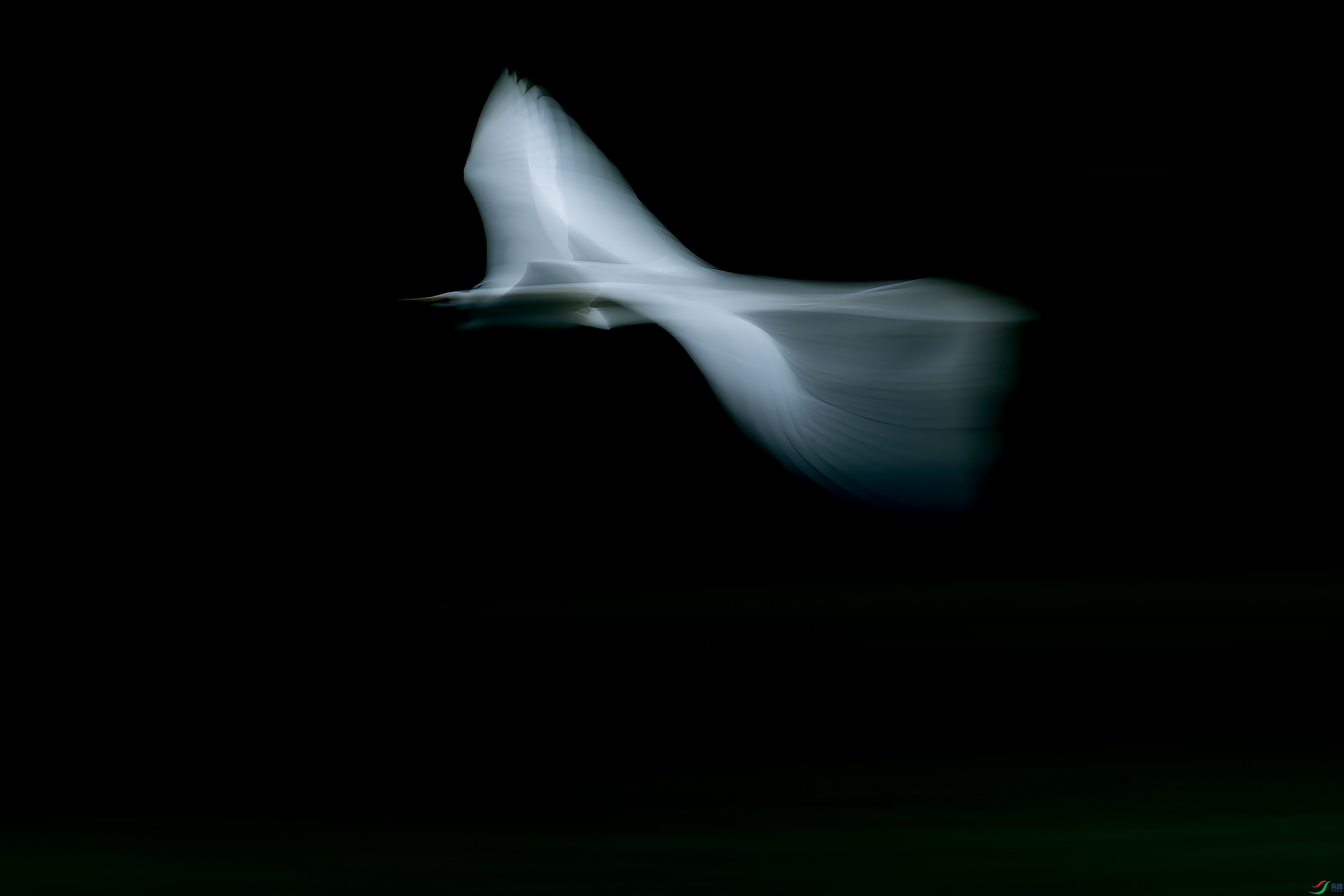 DSC_0096px.jpg