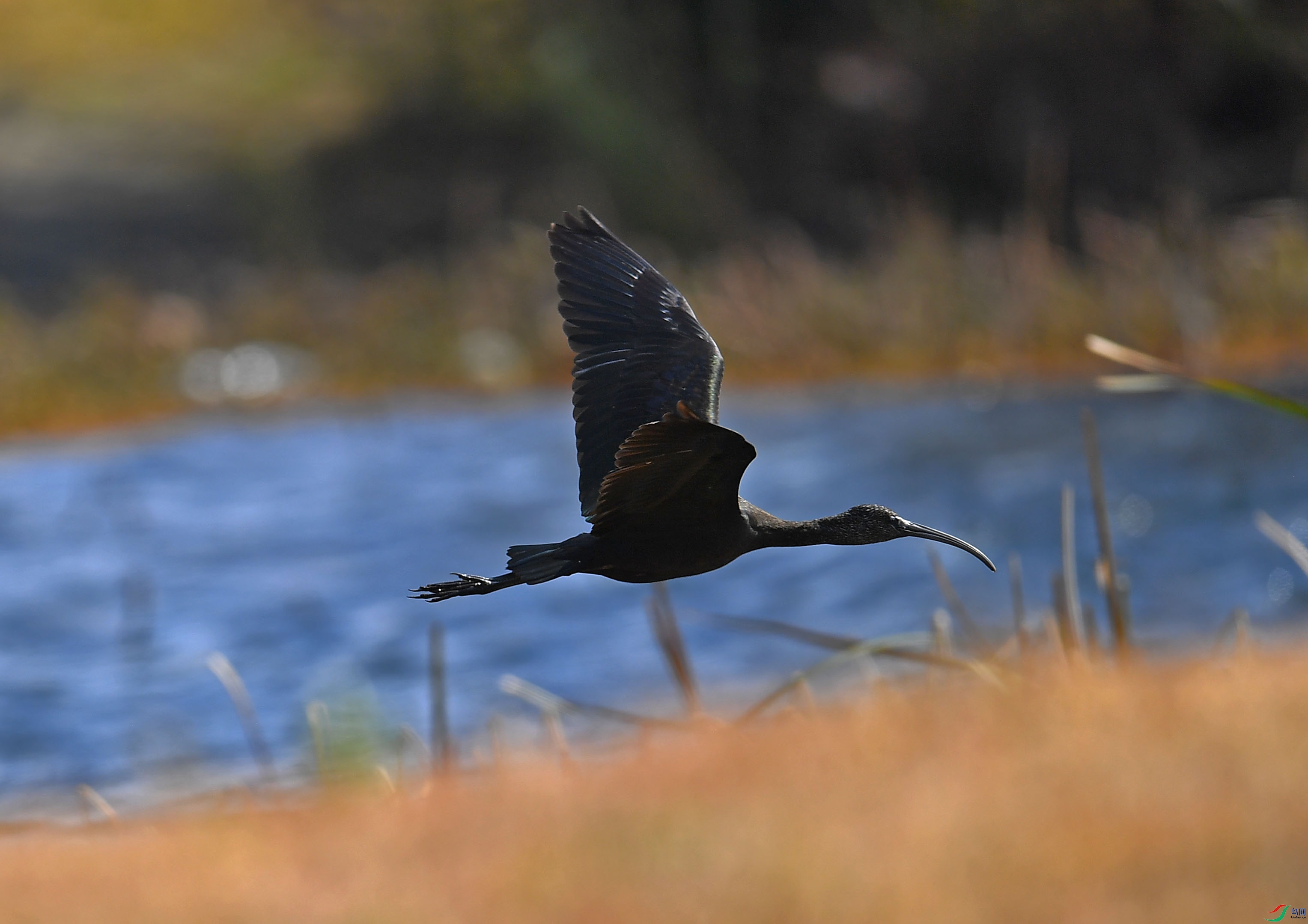 DSC_2777.jpg