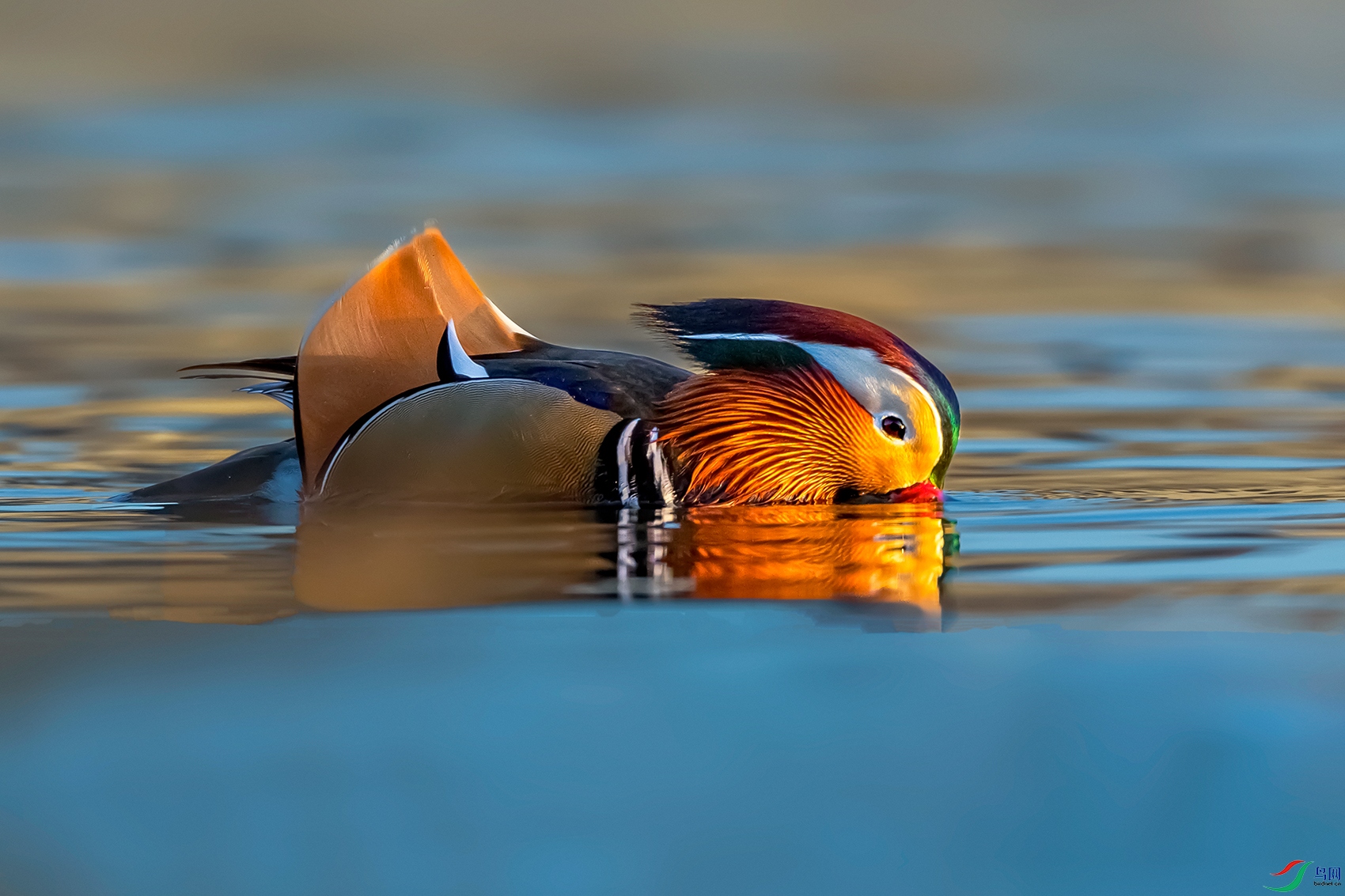 ԧ��----ԧ��Ϸˮ