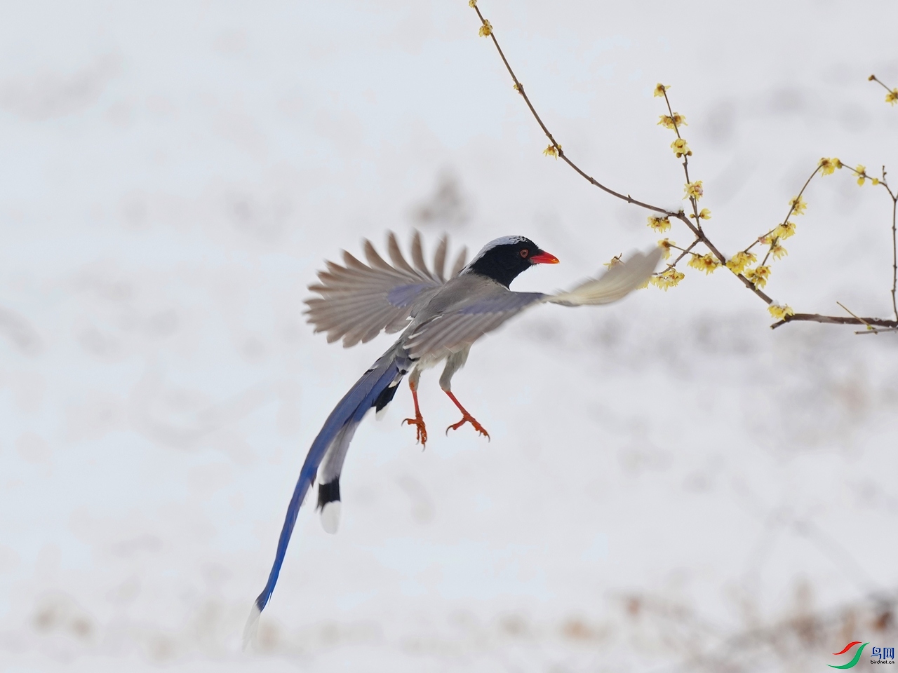 DSC05175.JPG