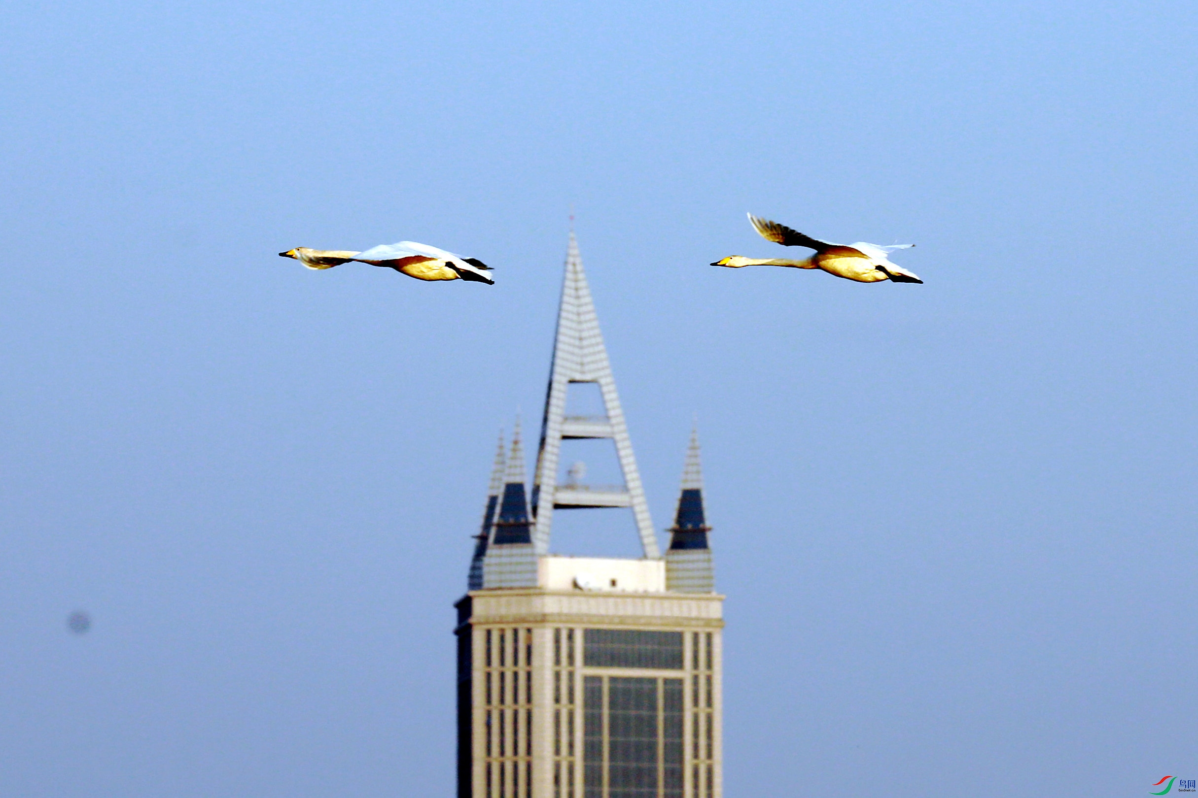 BG3A6876.jpg