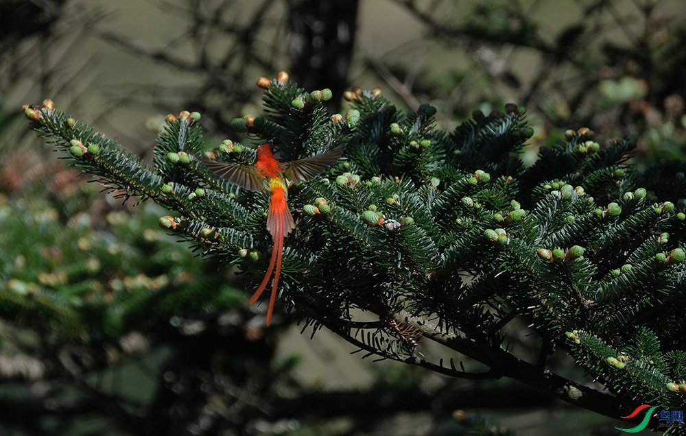 DSCF8208.1.jpg