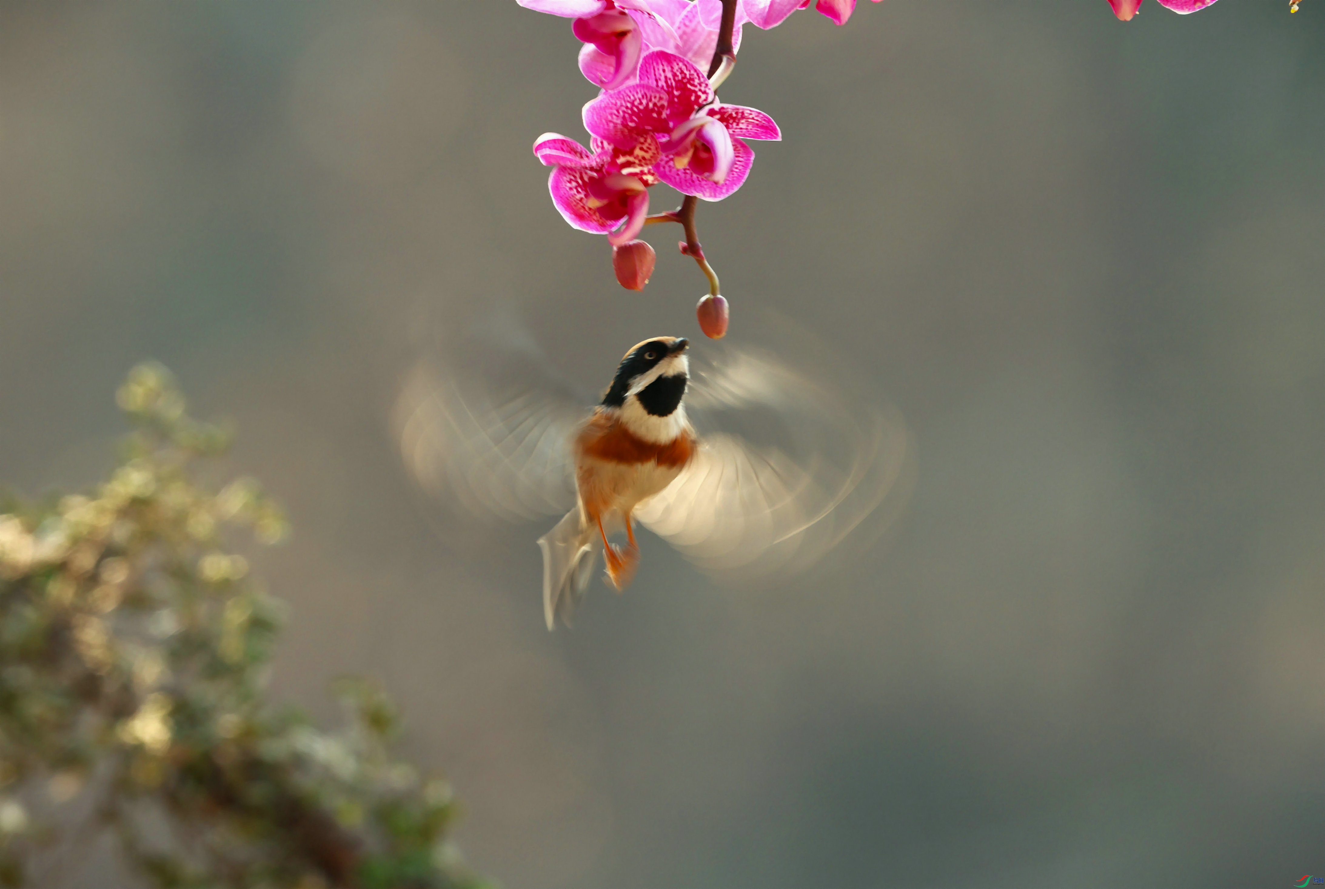 С��ͷ 2024-01-27�� 3A4459_����.JPG