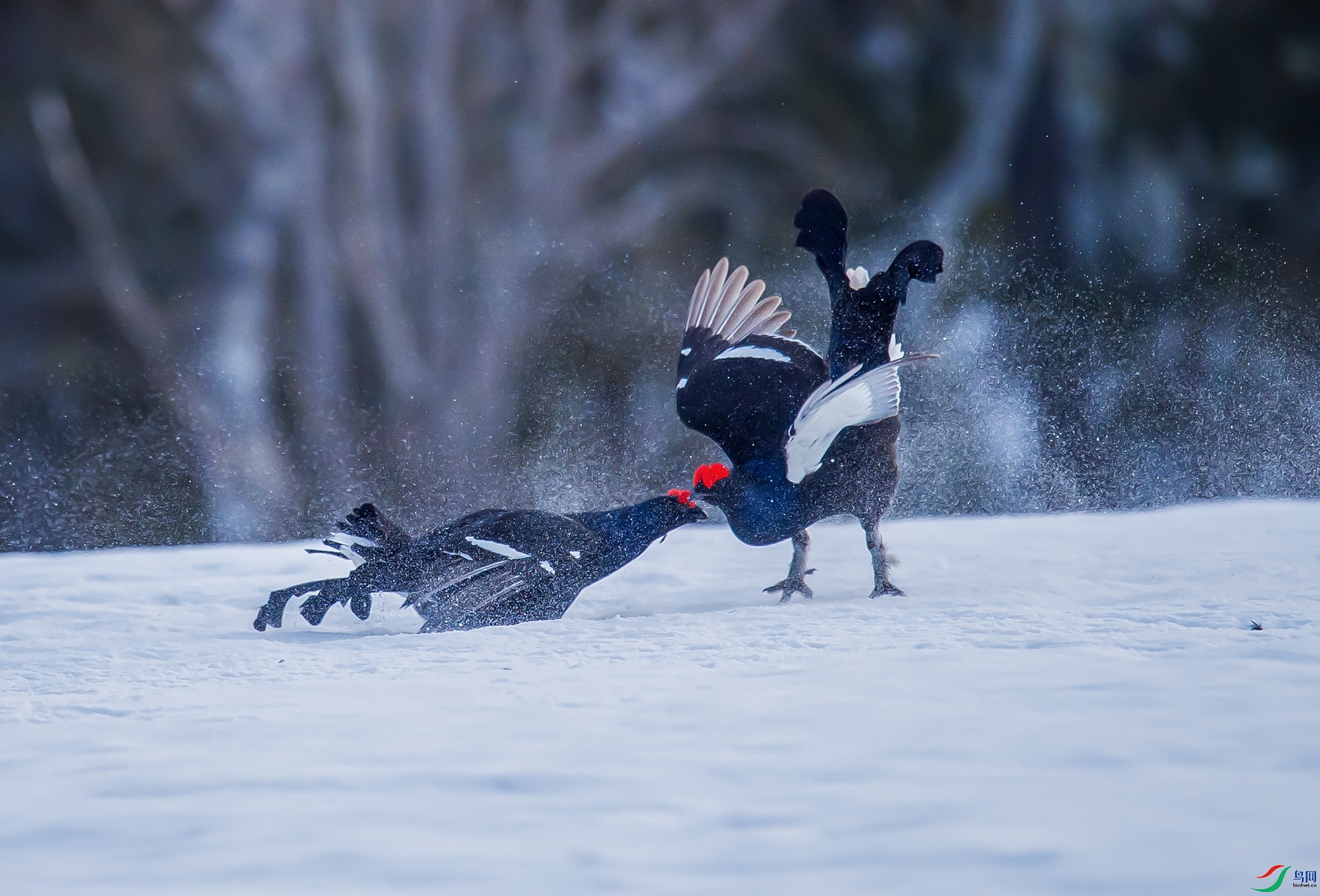 ��DSC8249 ��ؐ.jpg