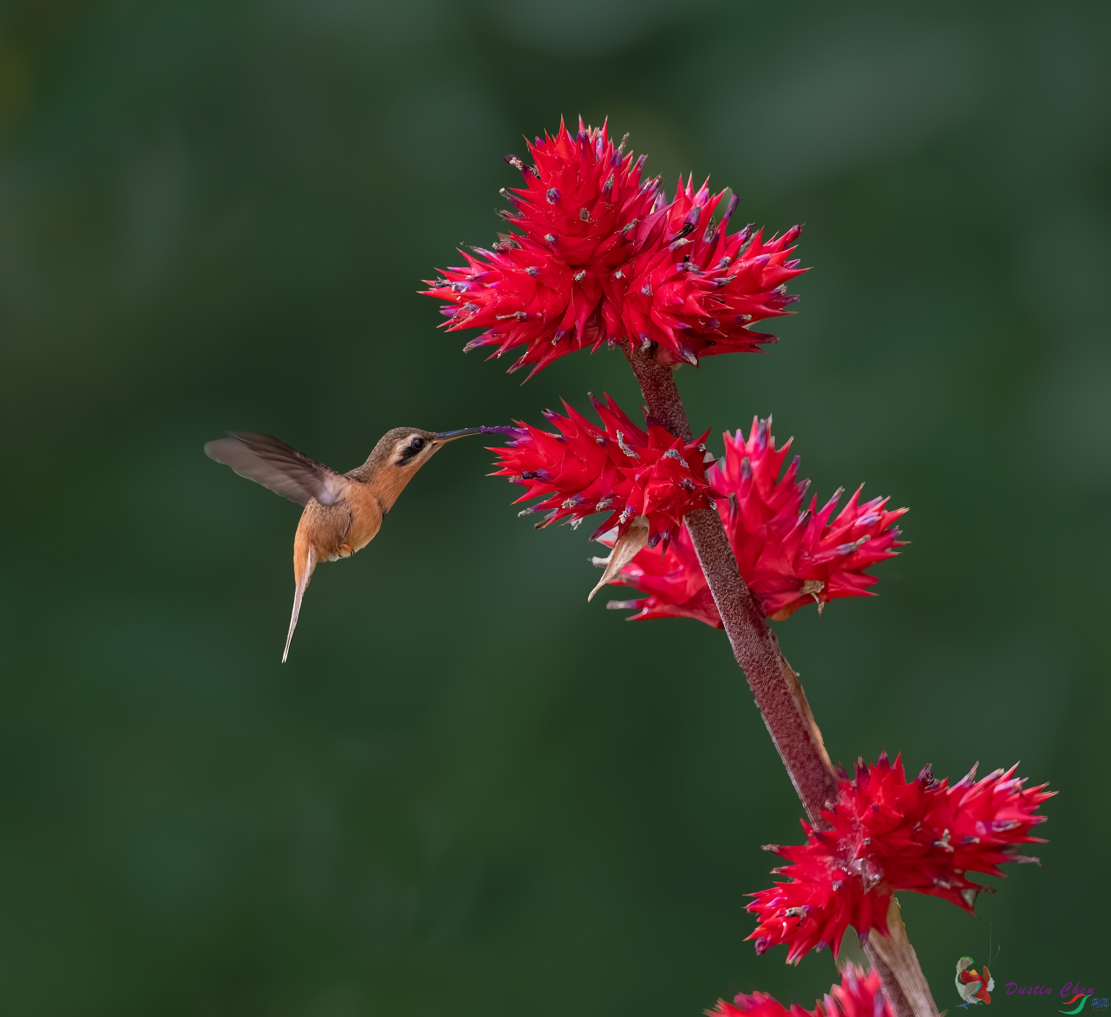 C2342B60-C2B8-4E09-8AB1-A4E0F92077B0.jpeg