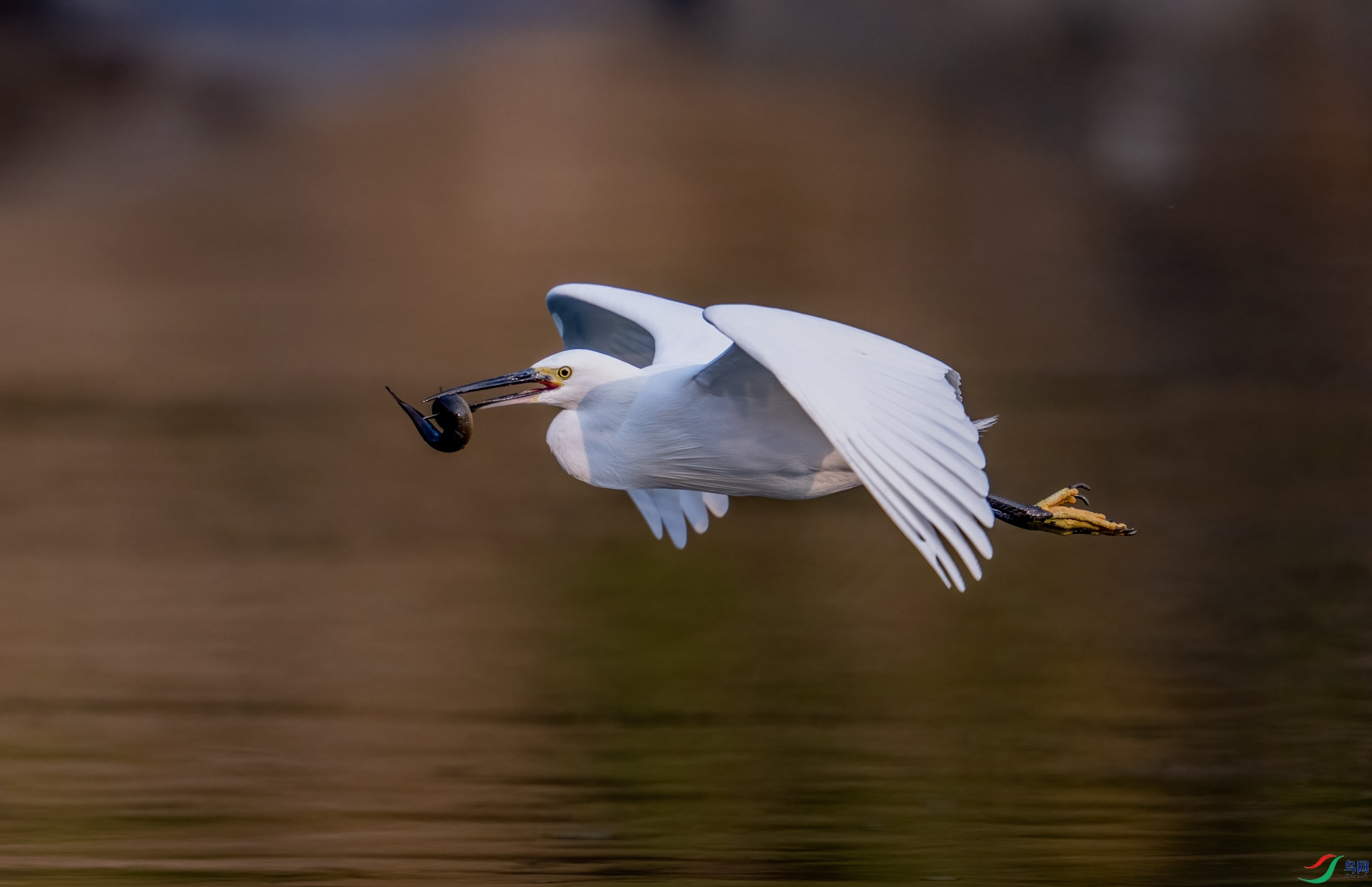 DSC_5417.jpg