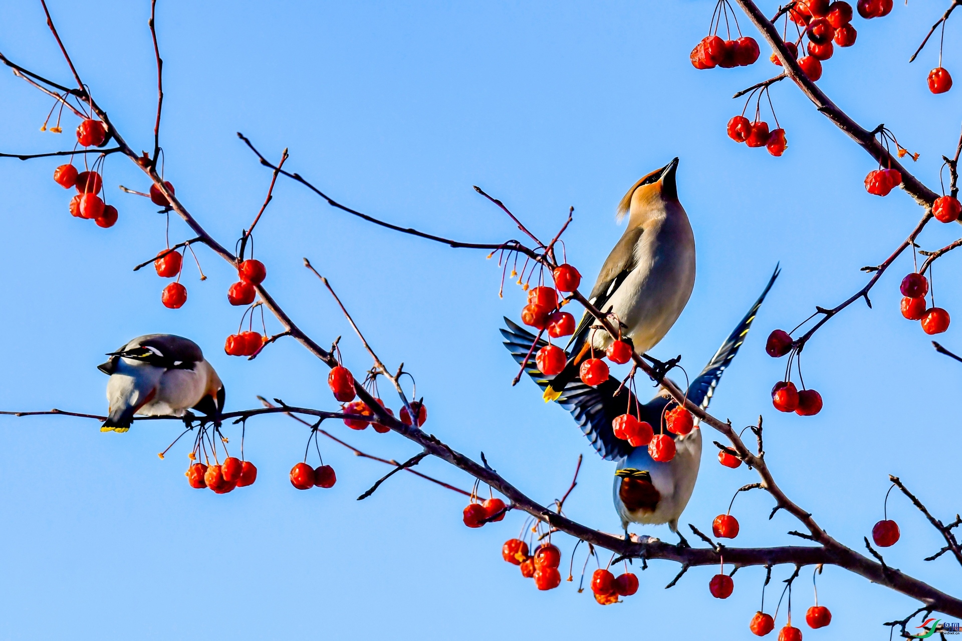 �����̫̫ƽƽ