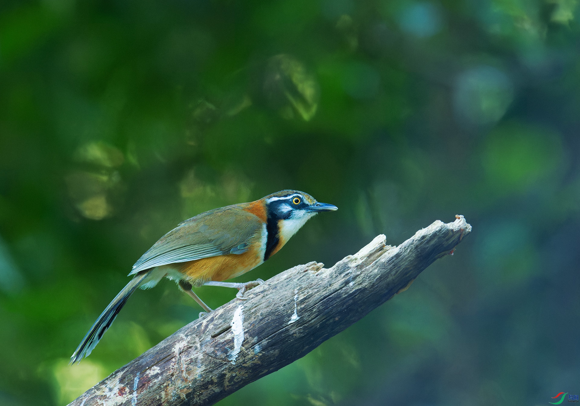DSC_2276-1.jpg