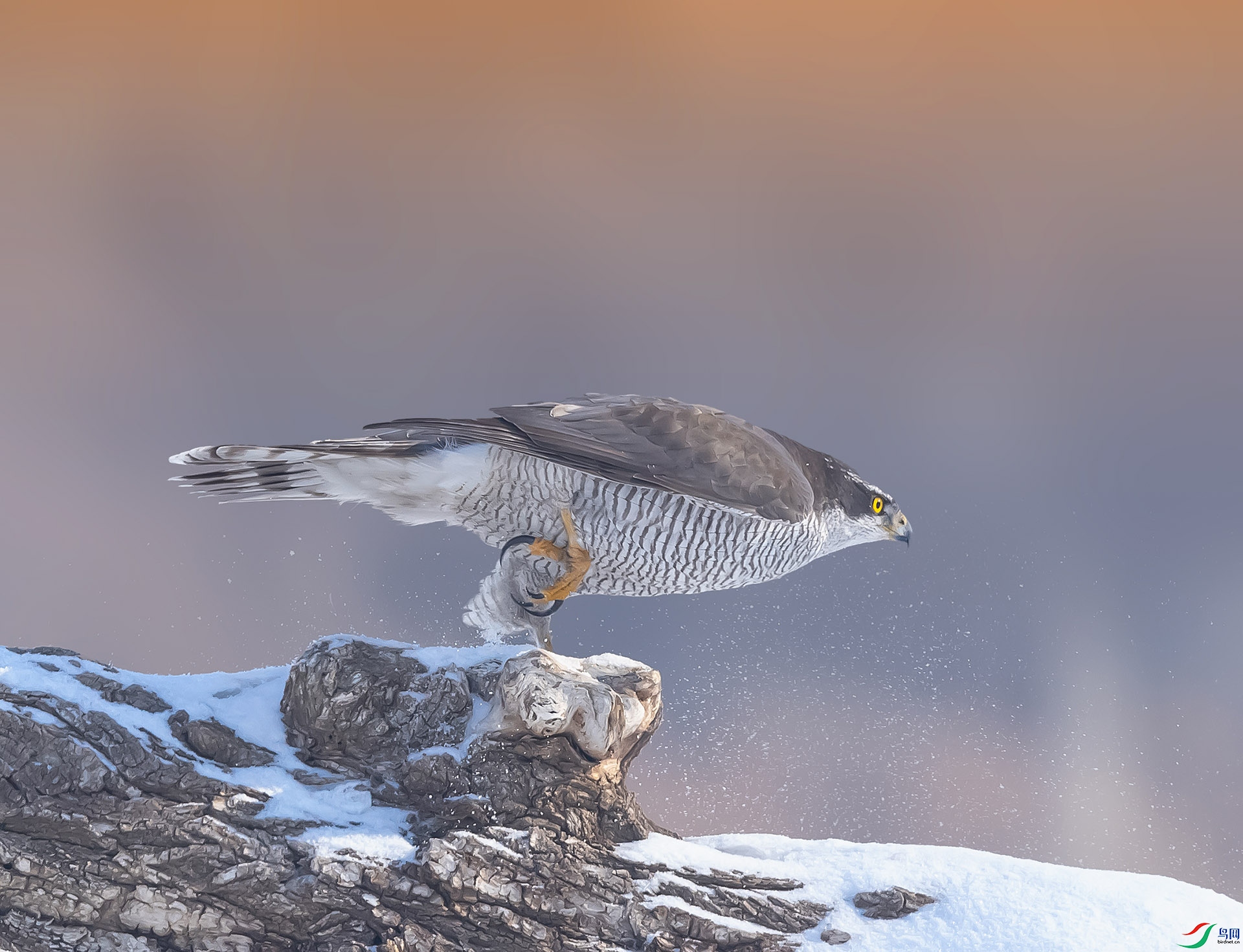 019A229456 ����.jpg