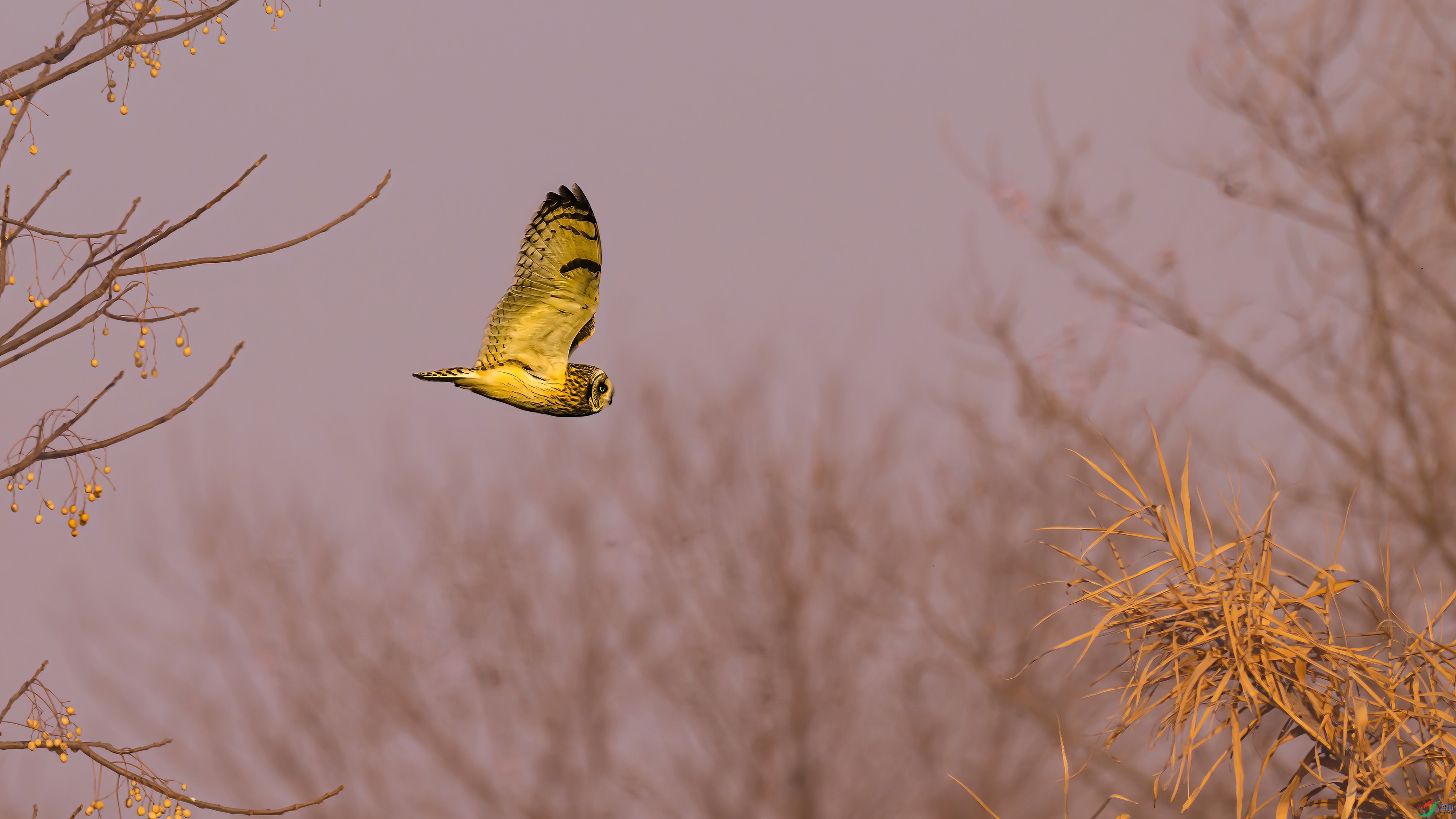 �̶��^ - 1���� ����.jpg