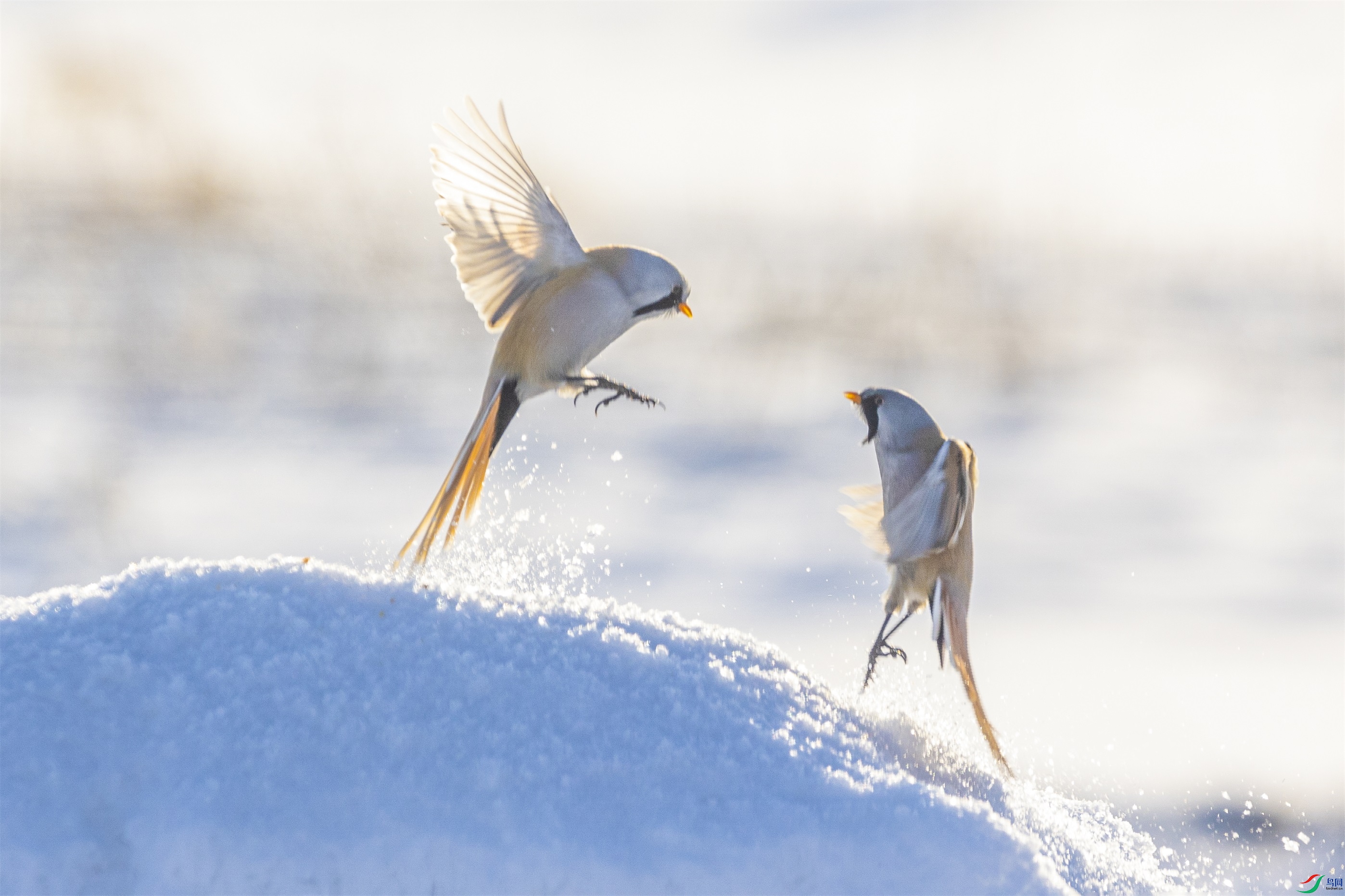 1K3A5601 ����1.jpg