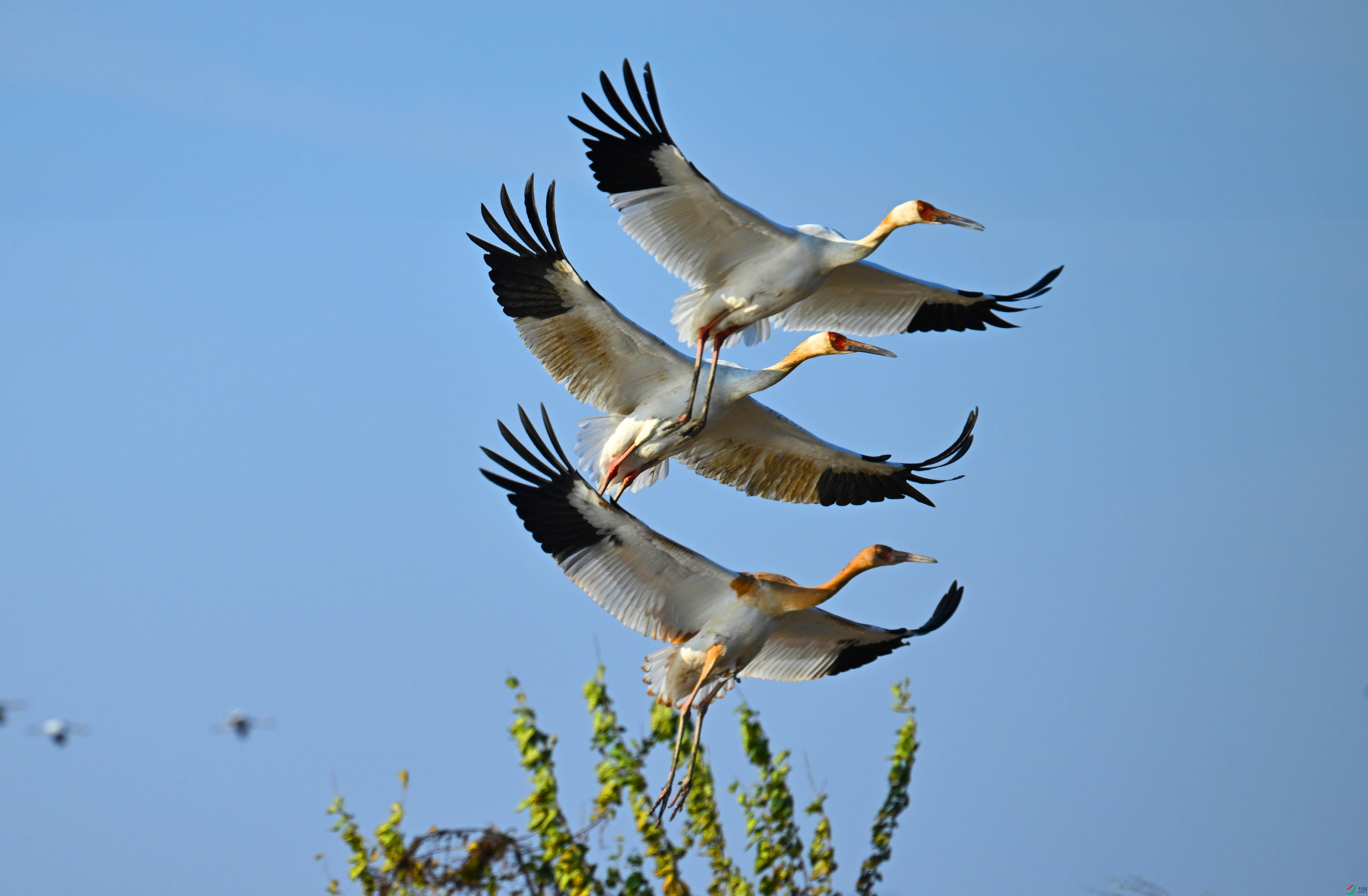 DSC_8707 ����.jpg