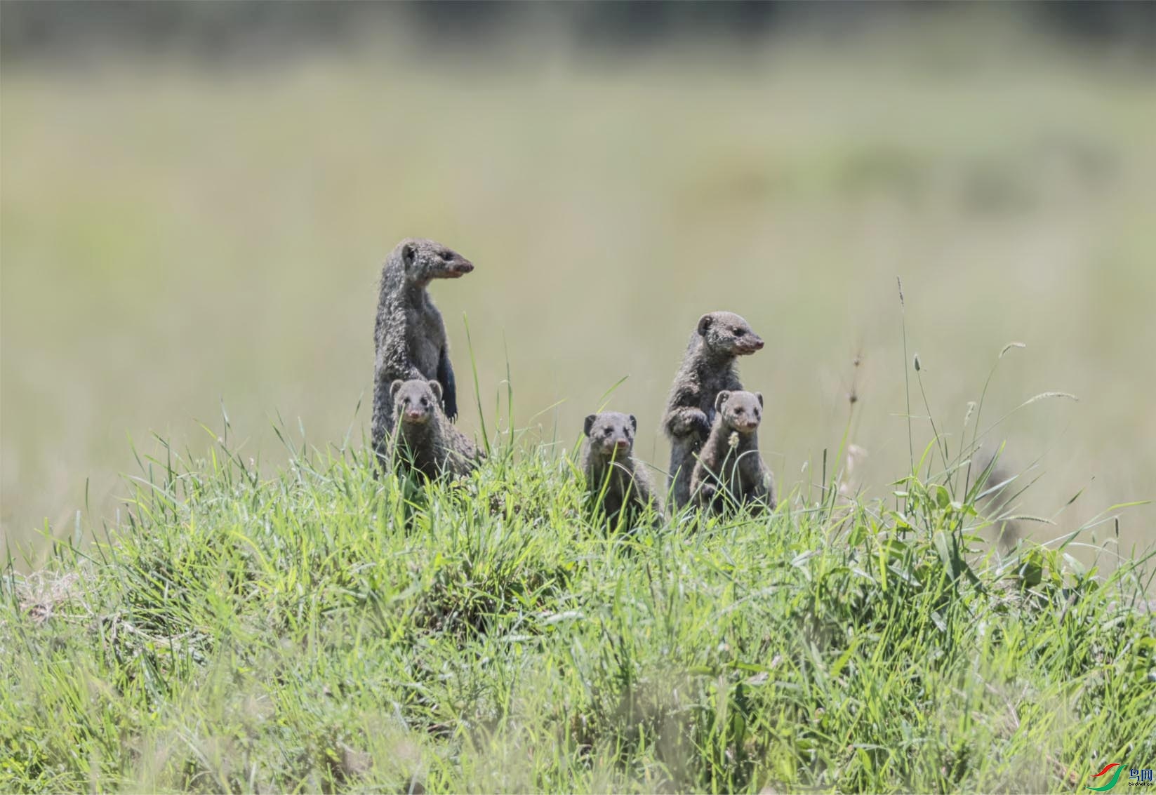 ��ֻ���B ����.jpg