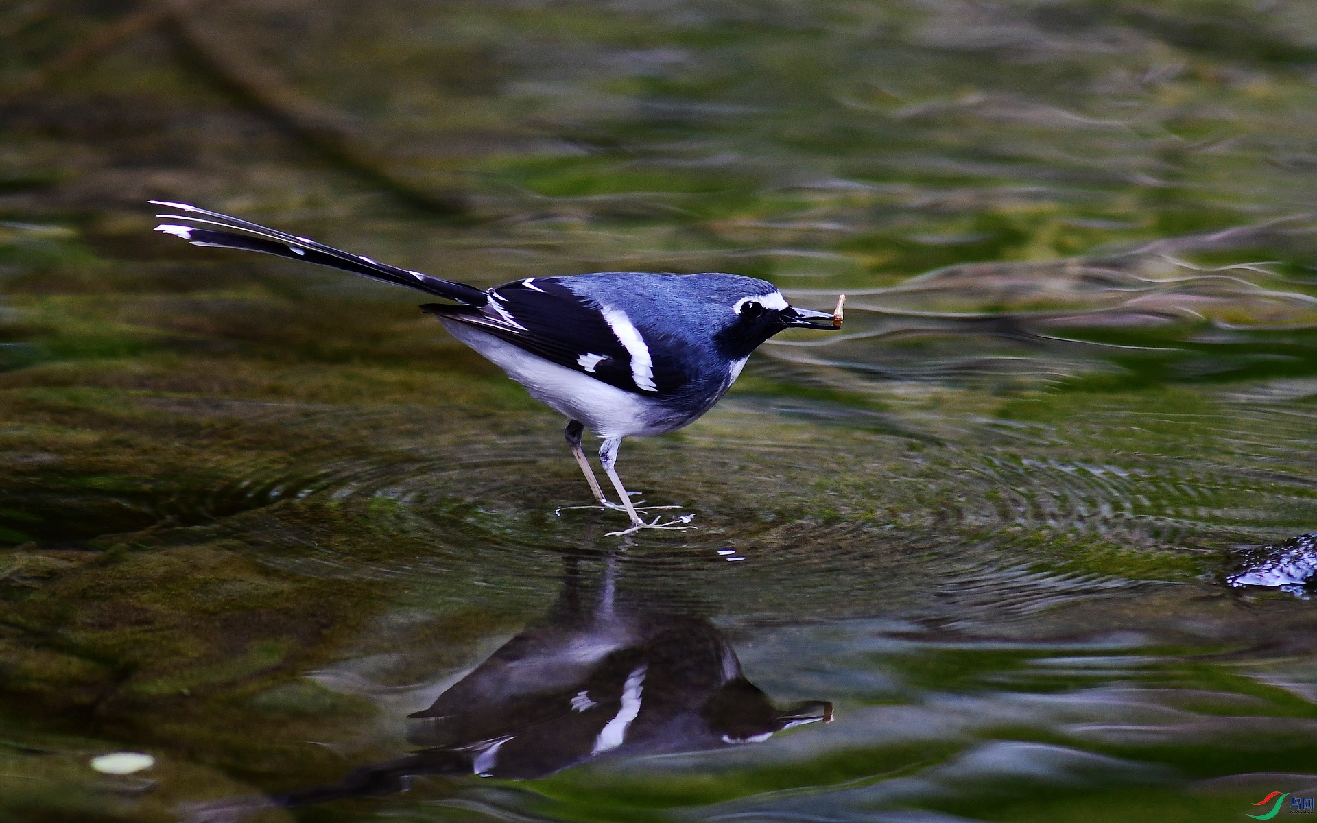 _D5D0250.jpg