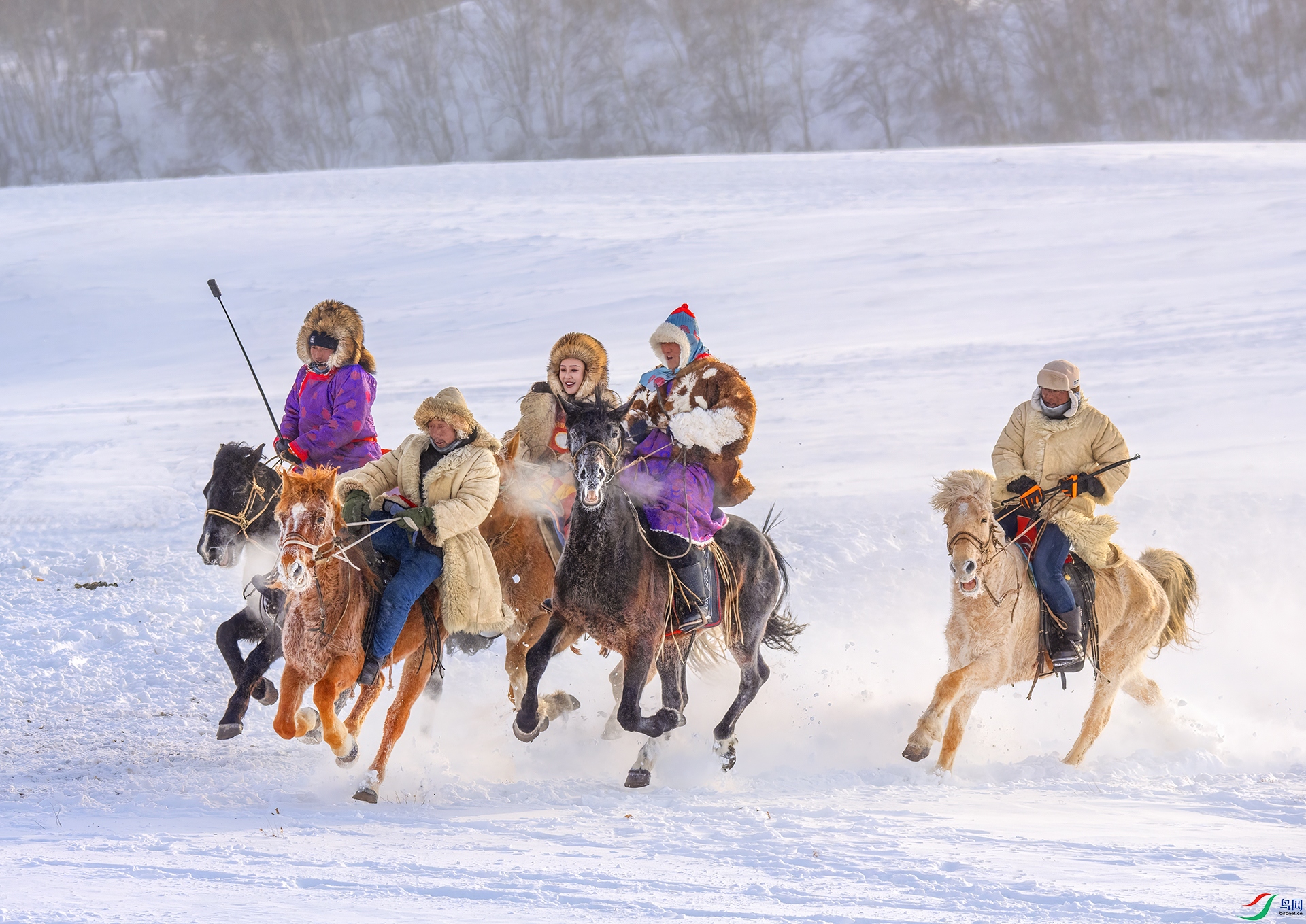 DSC_8528 - �����ϵĿ���.jpg