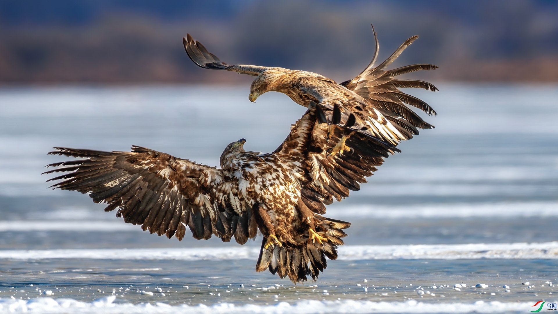 �ļ��� һ���ߵ� ��־����_B5A6080.jpg