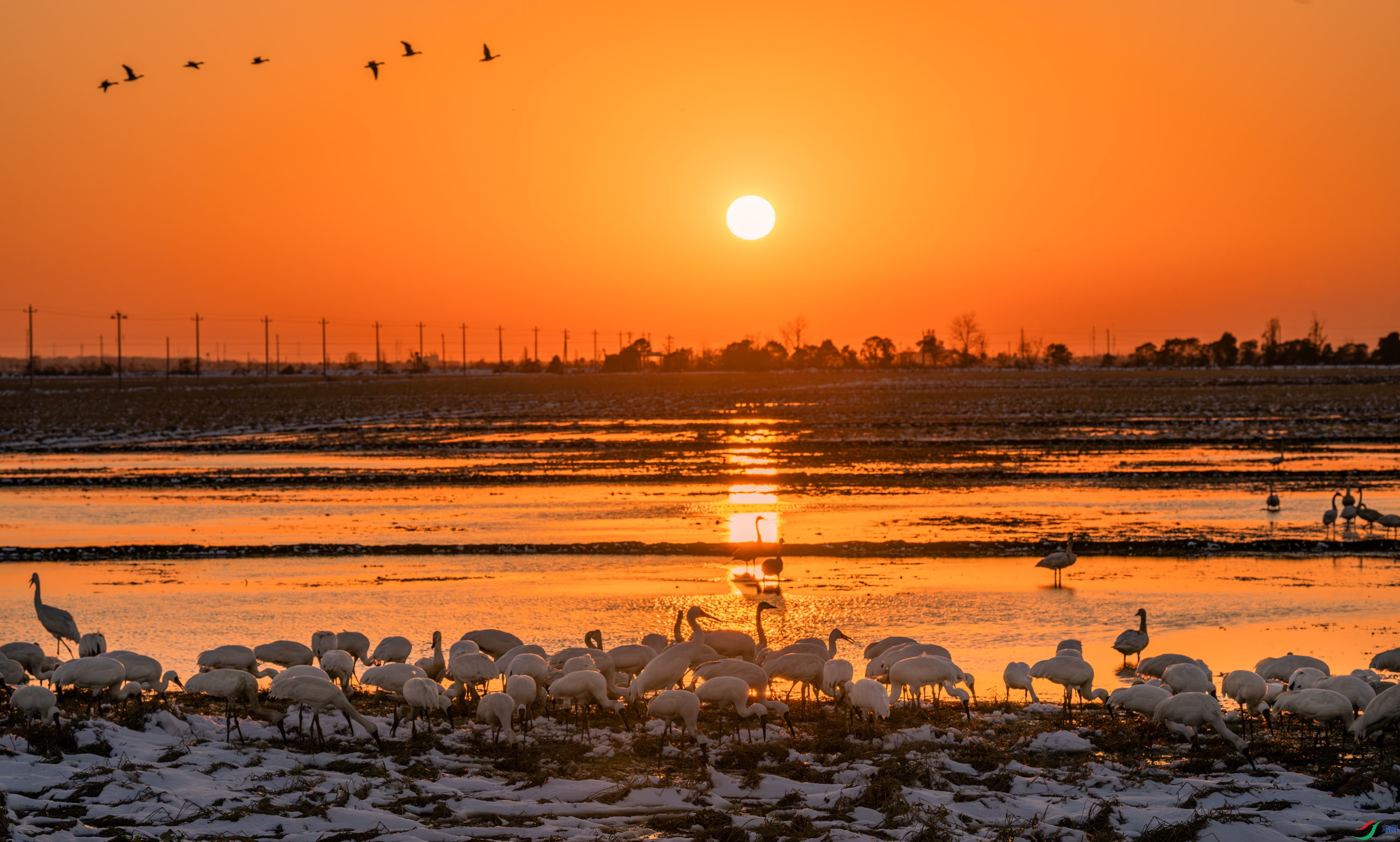 �ƻ�����Բ