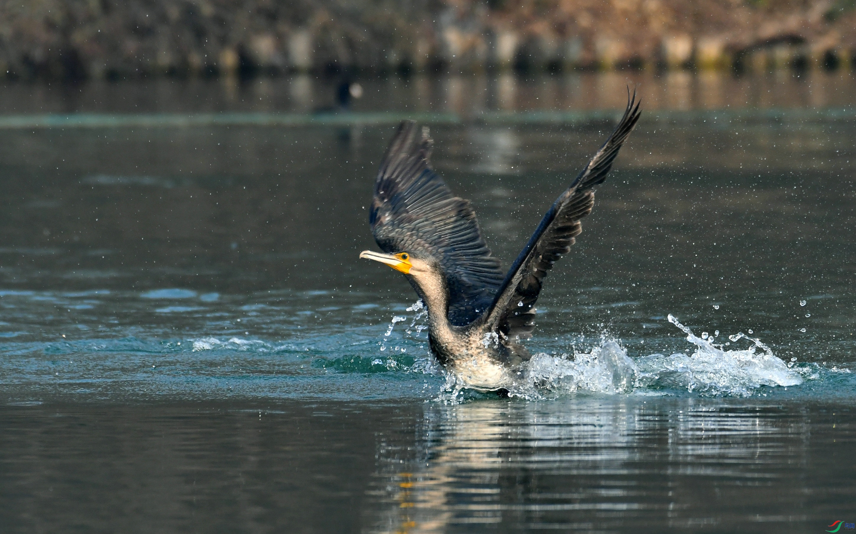 DSC_3881.JPG