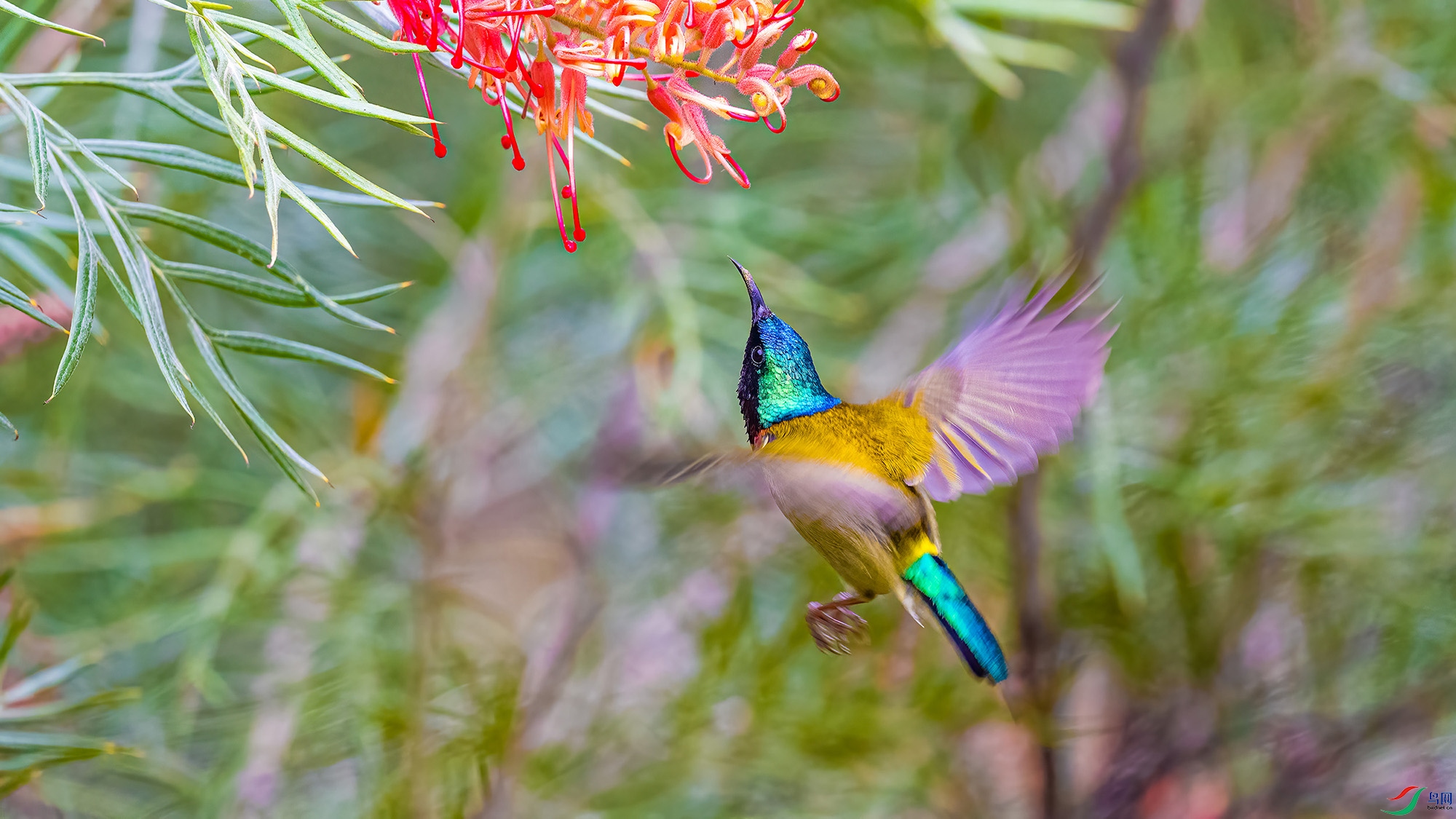 DSC_67731.jpg