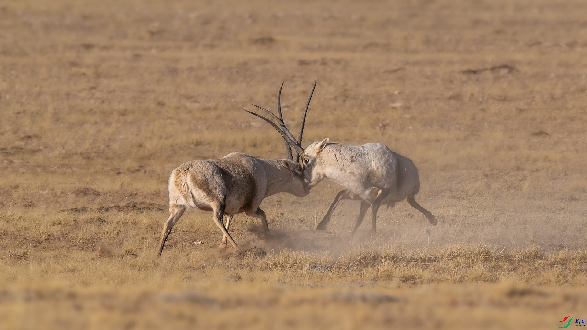 _DSC8354.jpg