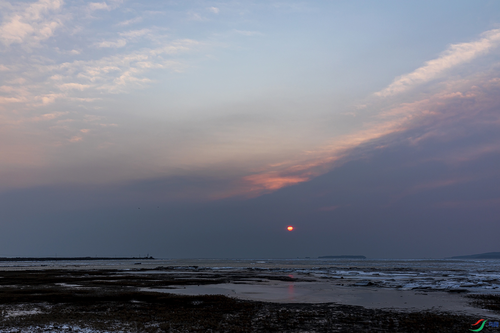 _4LM0042a.jpg