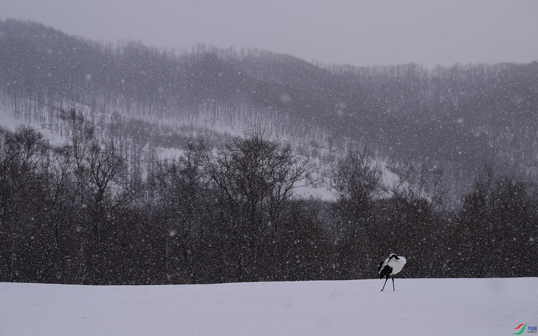 DSC_3668.jpg