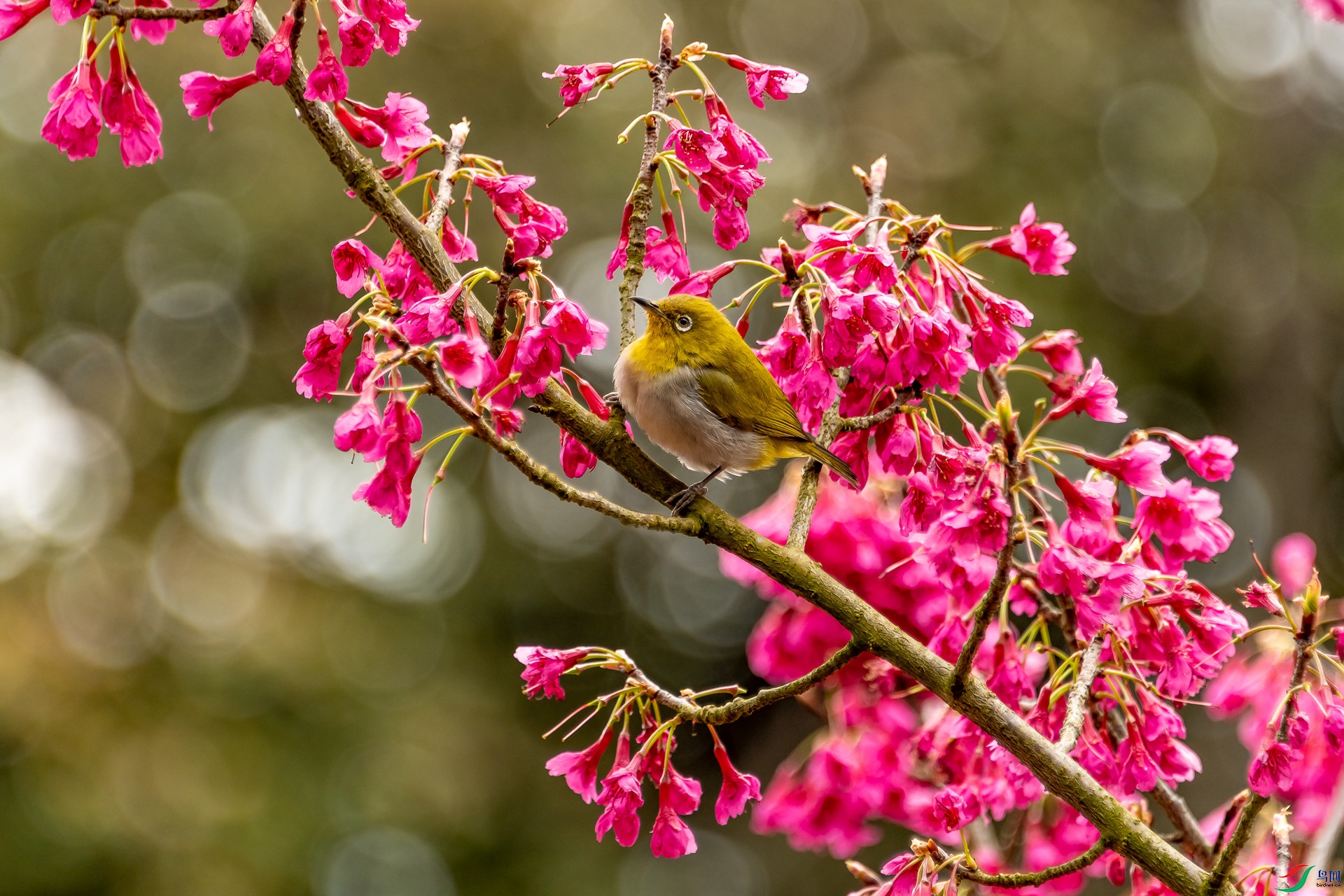 �Ҹ������� (9).jpg