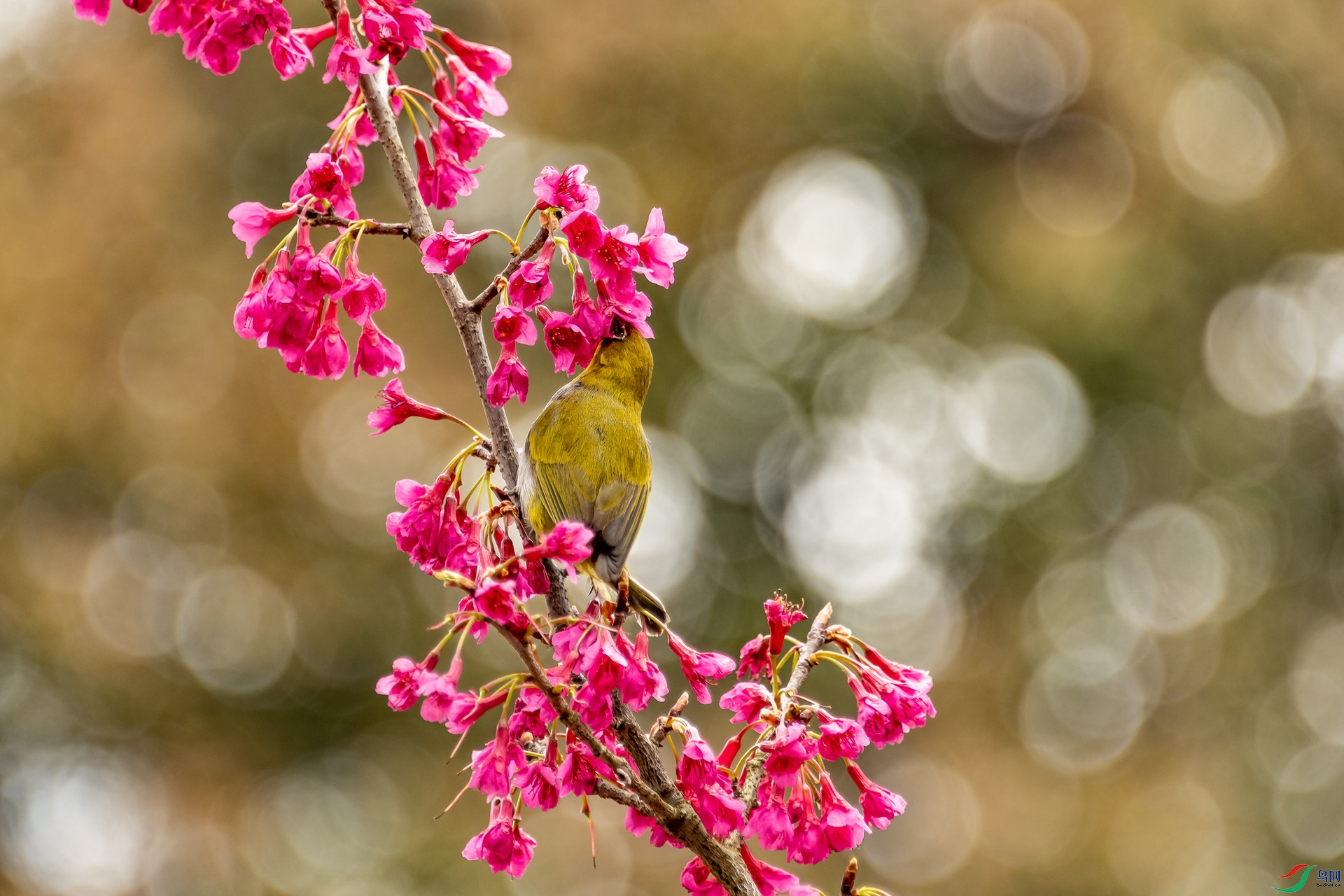 �Ҹ������� (11).jpg