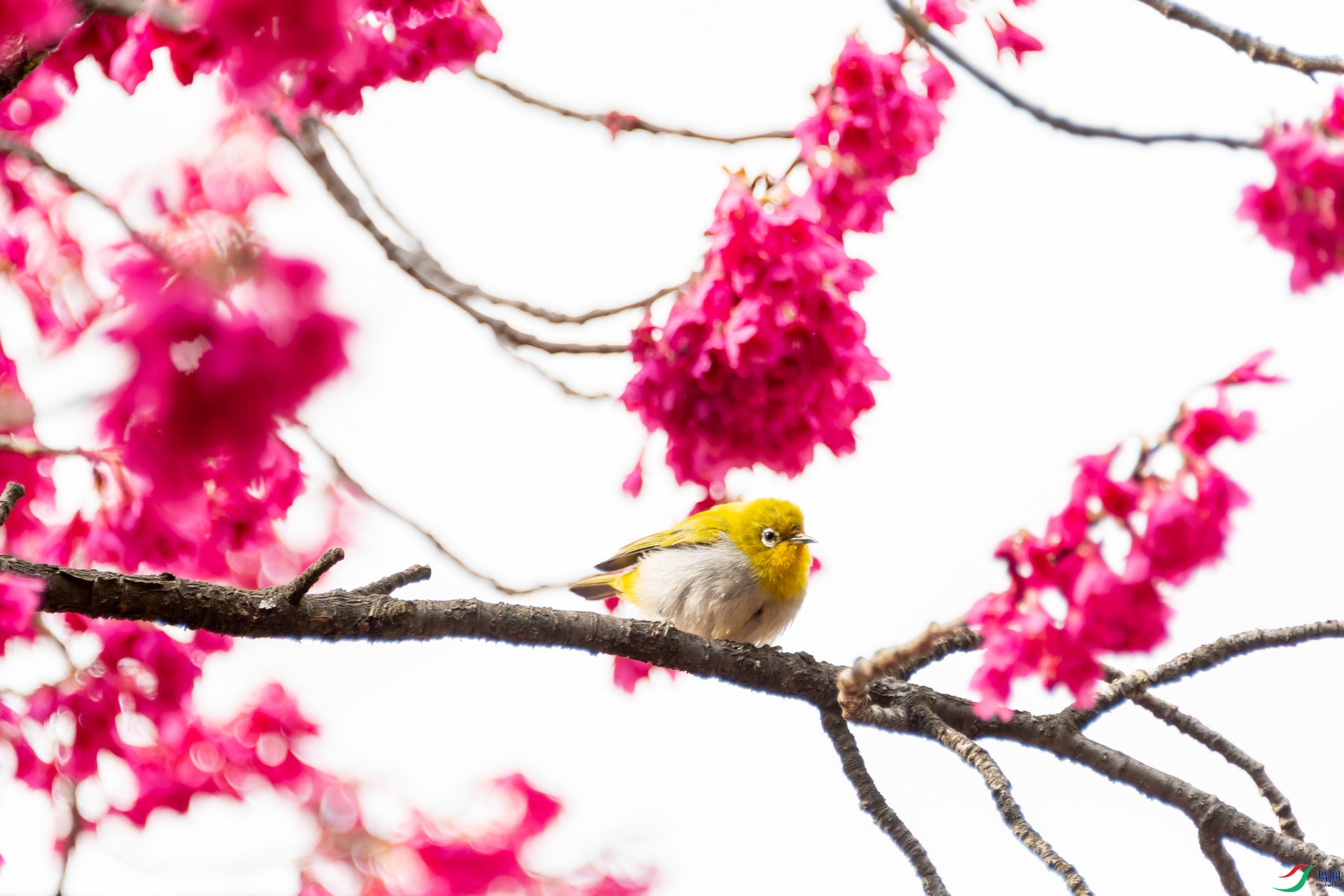 �Ҹ������� (15).jpg