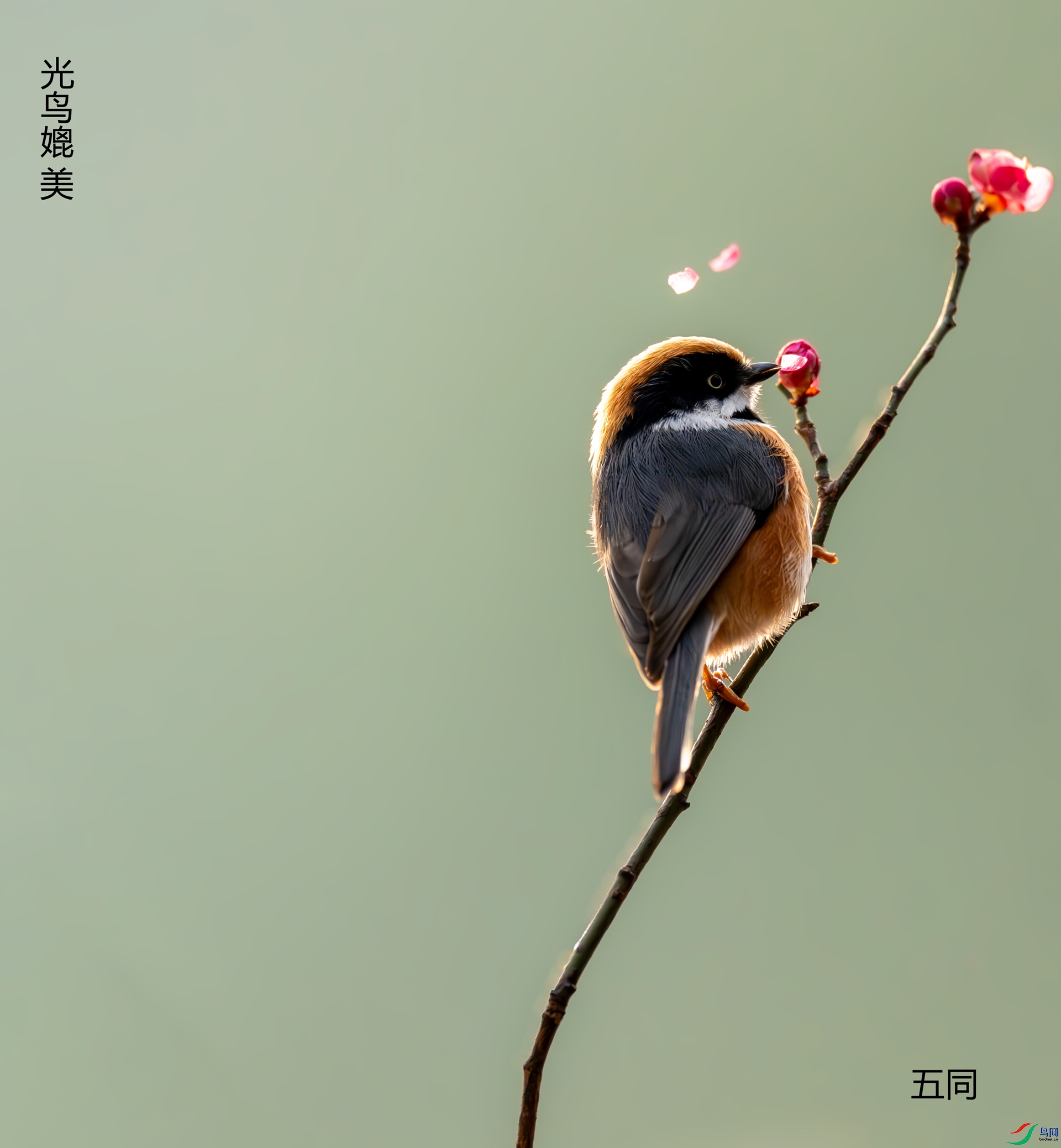 _DSC2922-����ǿ-NR����-(1)28.jpg