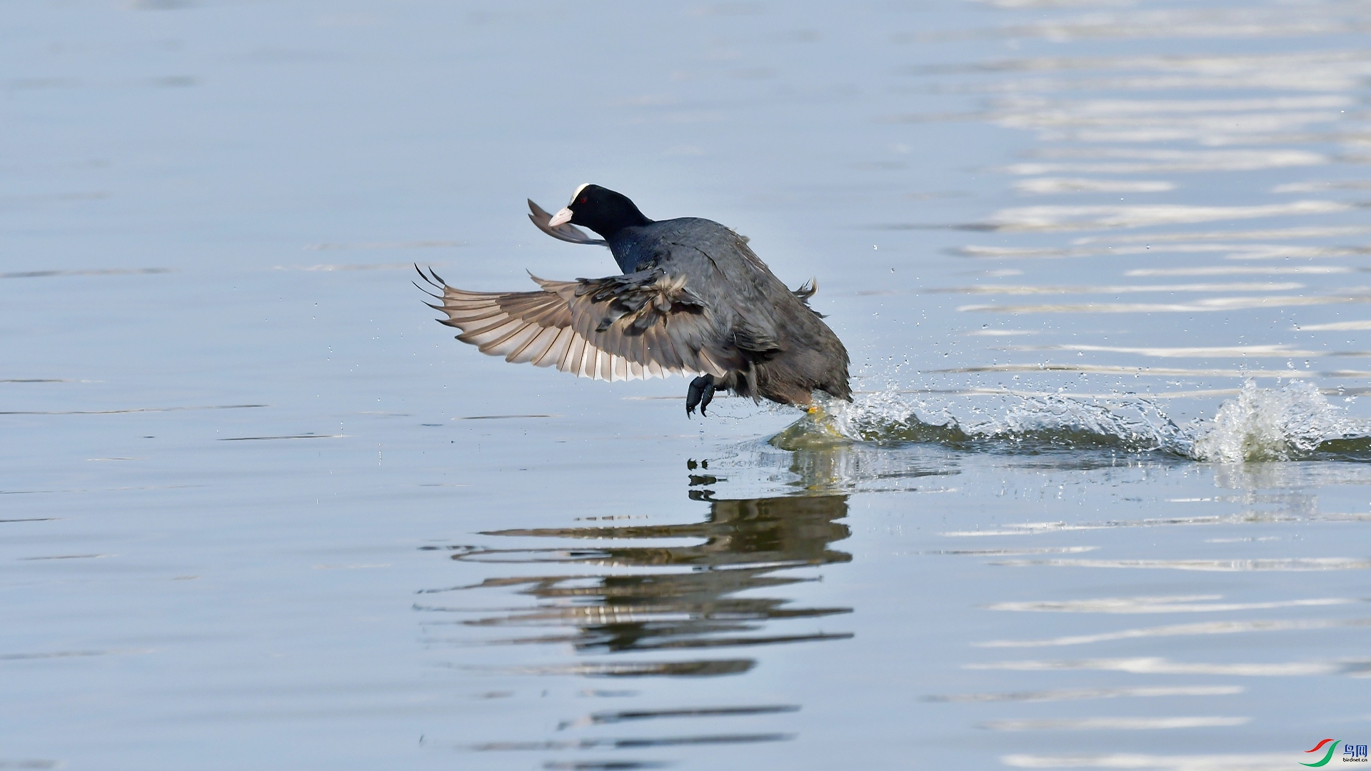 DSC_3667.JPG