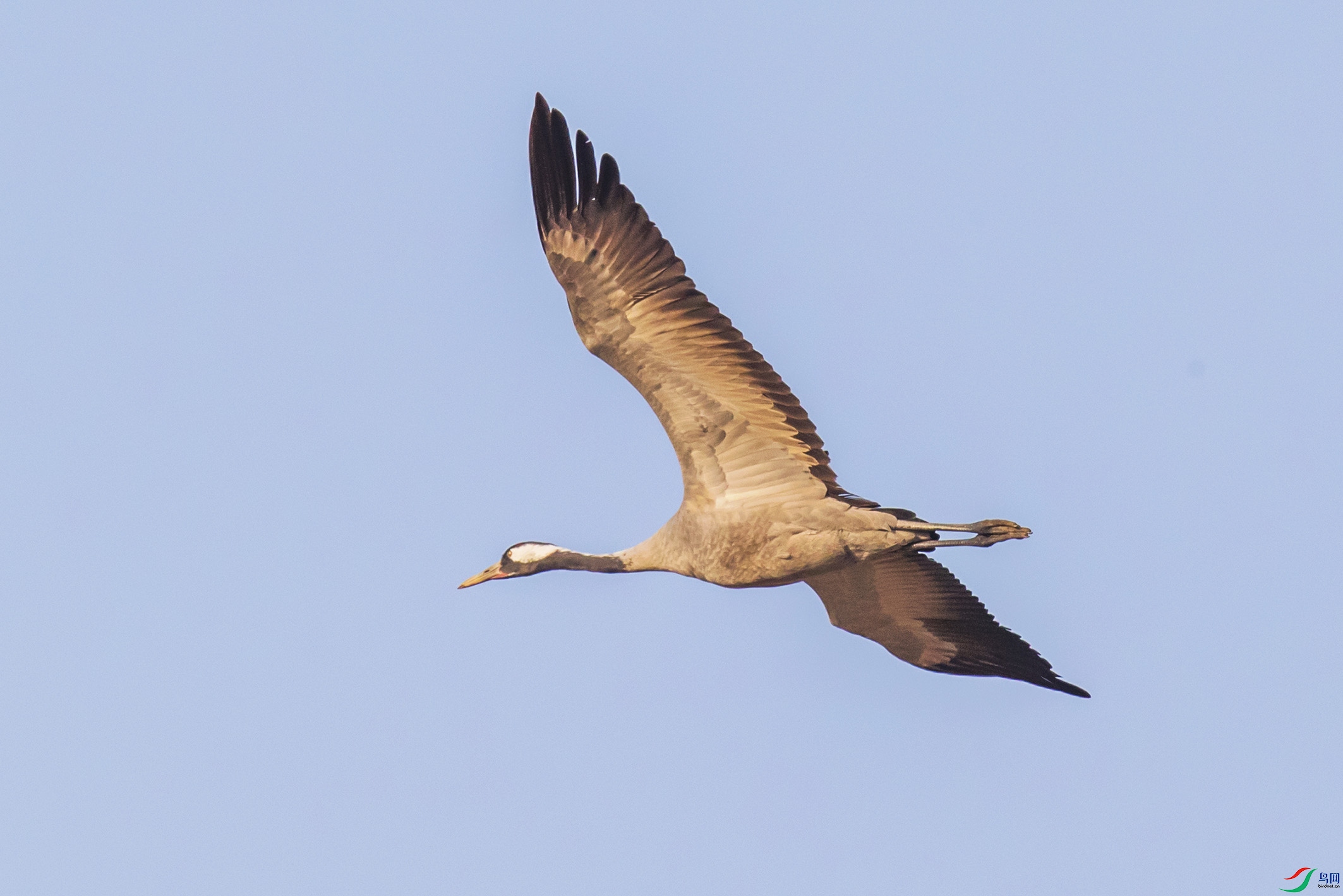 _90I3374 ����.jpg