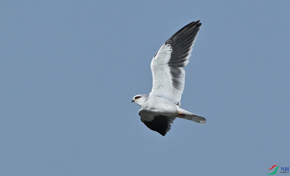 DSC_2687.JPG
