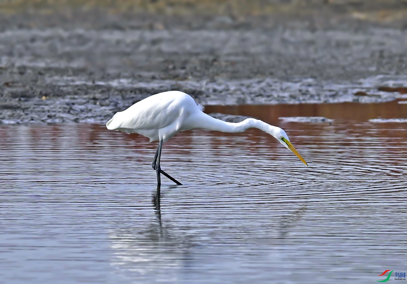 _DSC5409f.jpg