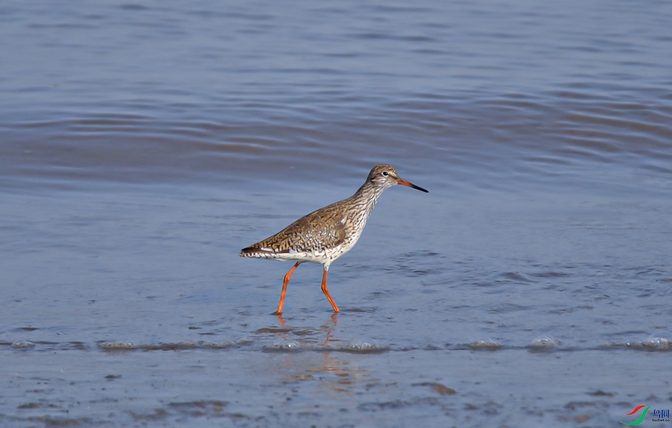 DSC_2178f.jpg