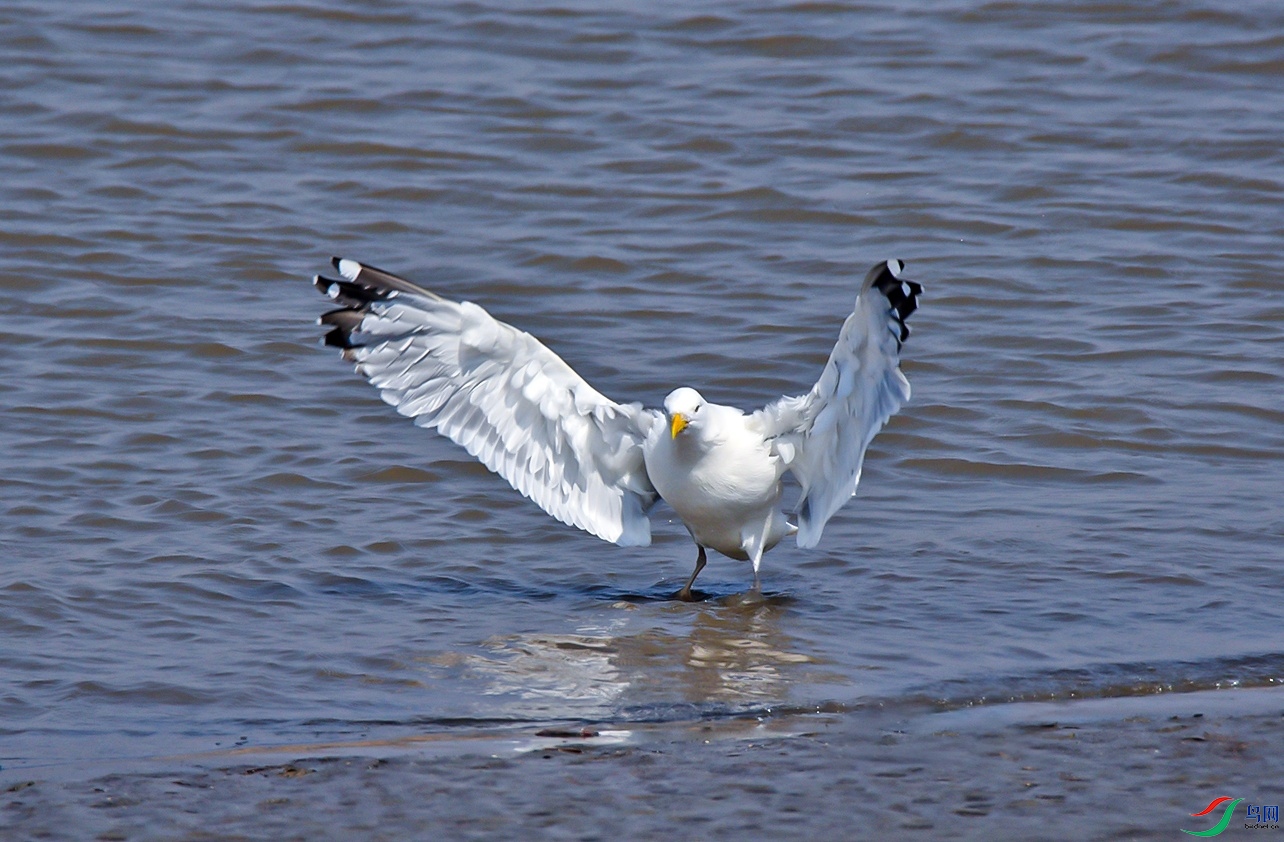 DSC_3795.jpg