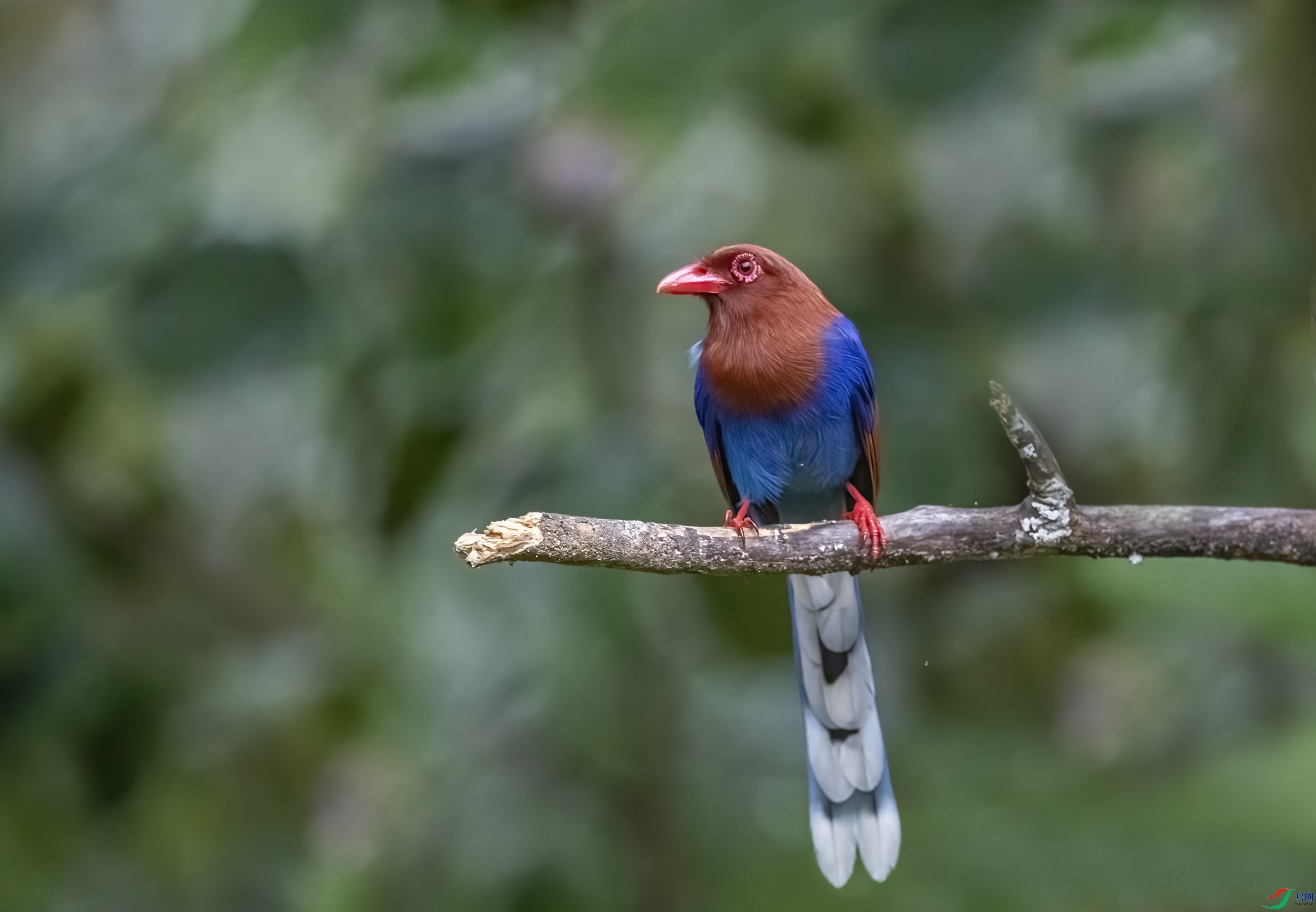 AC3I0159 ����.jpg