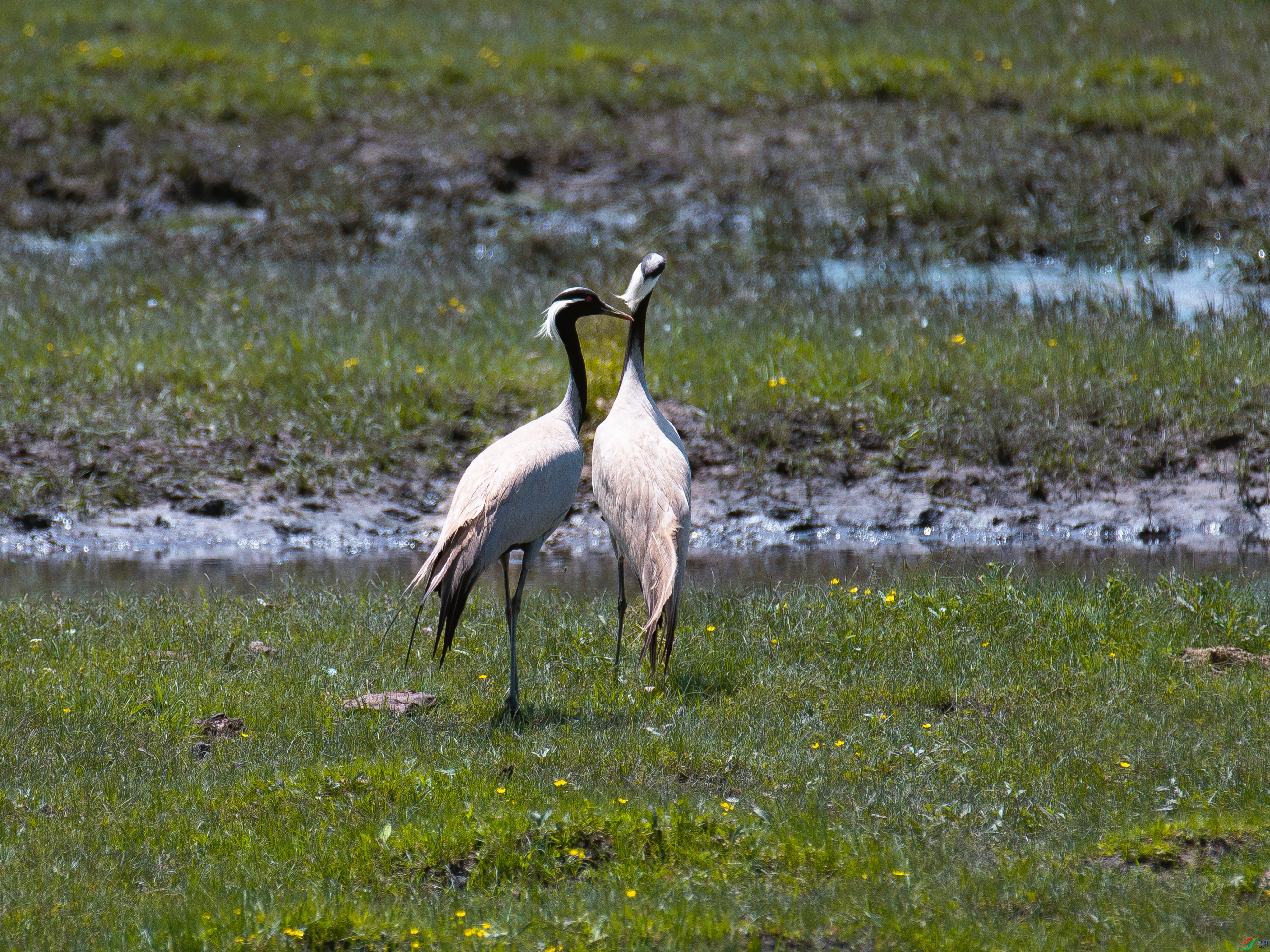 ������ͬ�� �����㾲�� 1