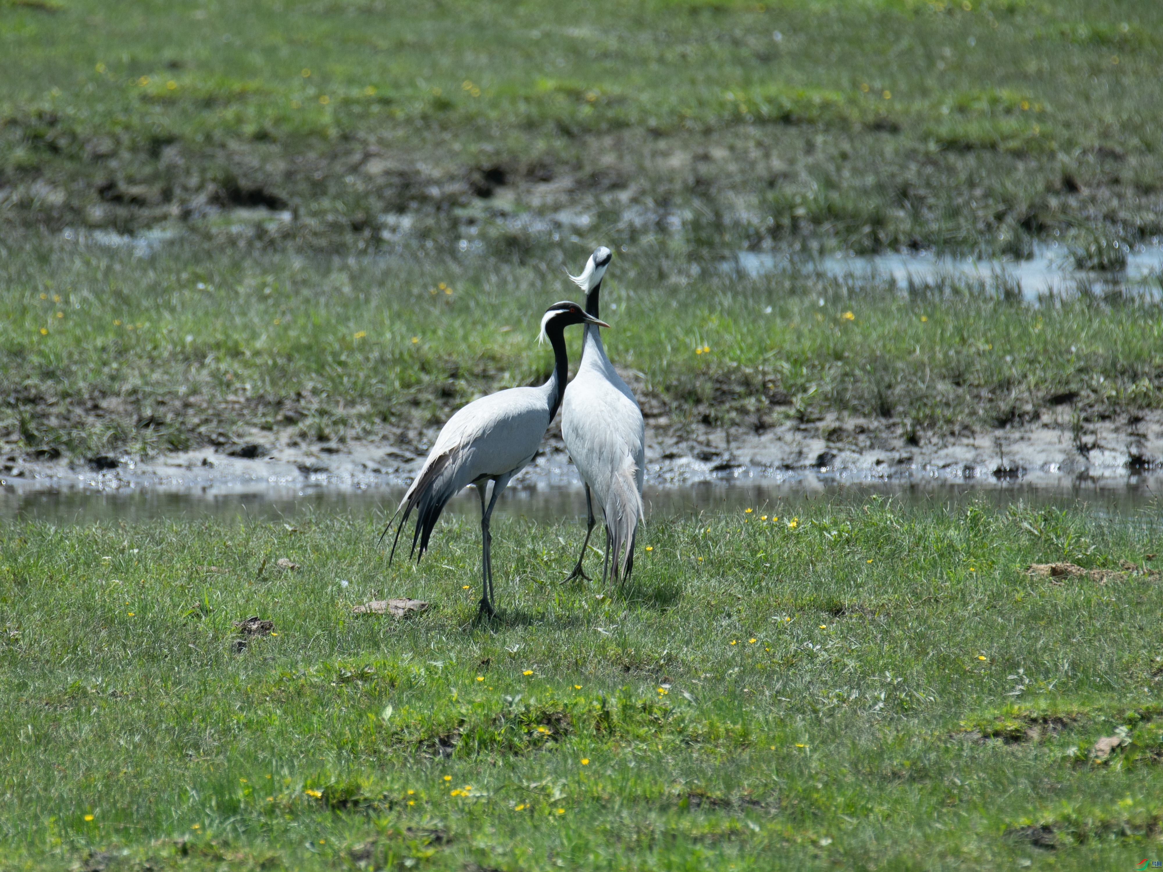 ������ͬ�� �����㾲�� 2